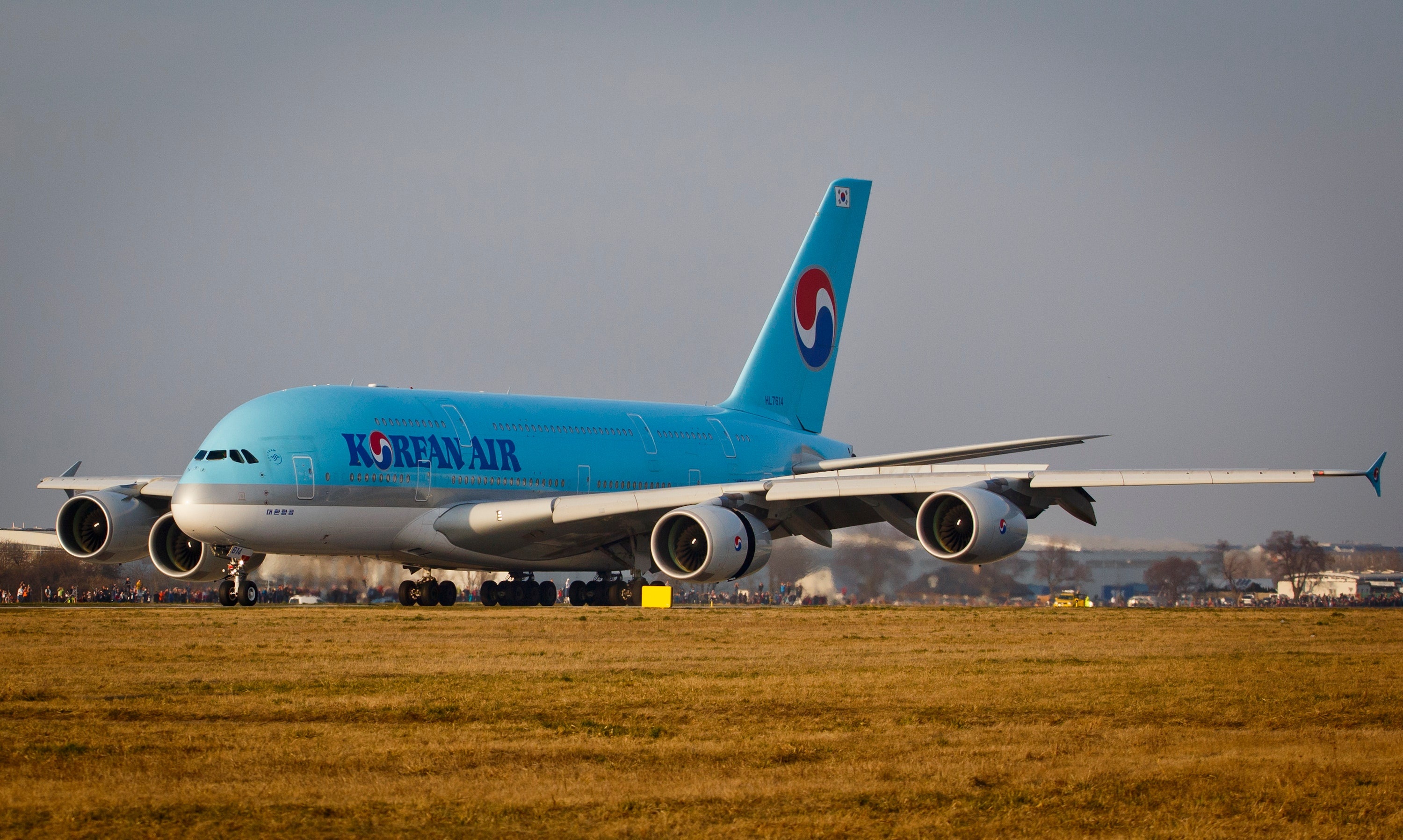 Korean Air, Celebrity passengers, Flier got violent, 3000x1800 HD Desktop