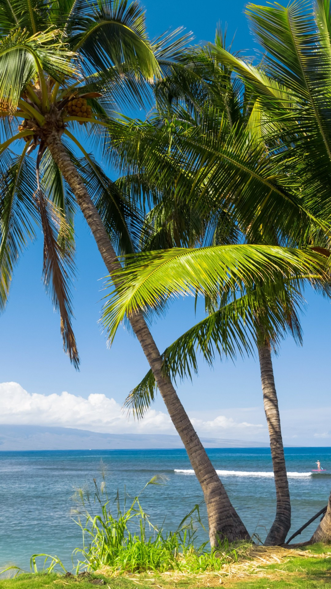 Hawaii palms wallpaper, Ocean clouds scene, iPhone wallpapers, Tropical getaway, 1080x1920 Full HD Phone