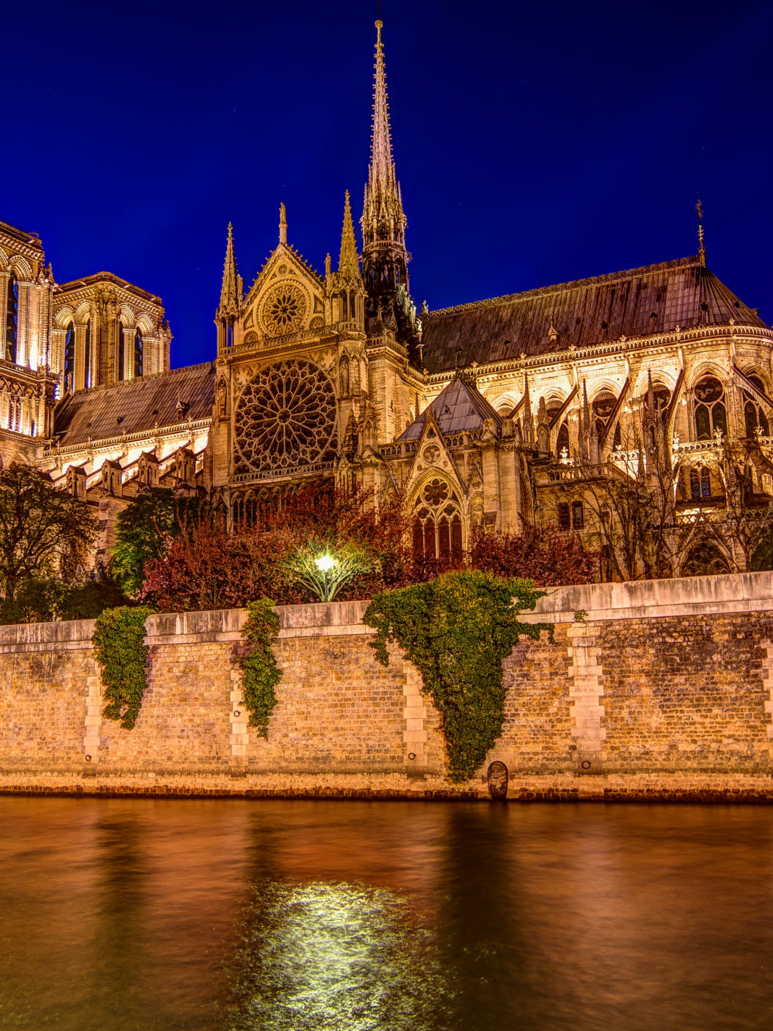 Notre-Dame Cathedral, Travels, HD wallpaper, Parisian beauty, 1540x2050 HD Handy