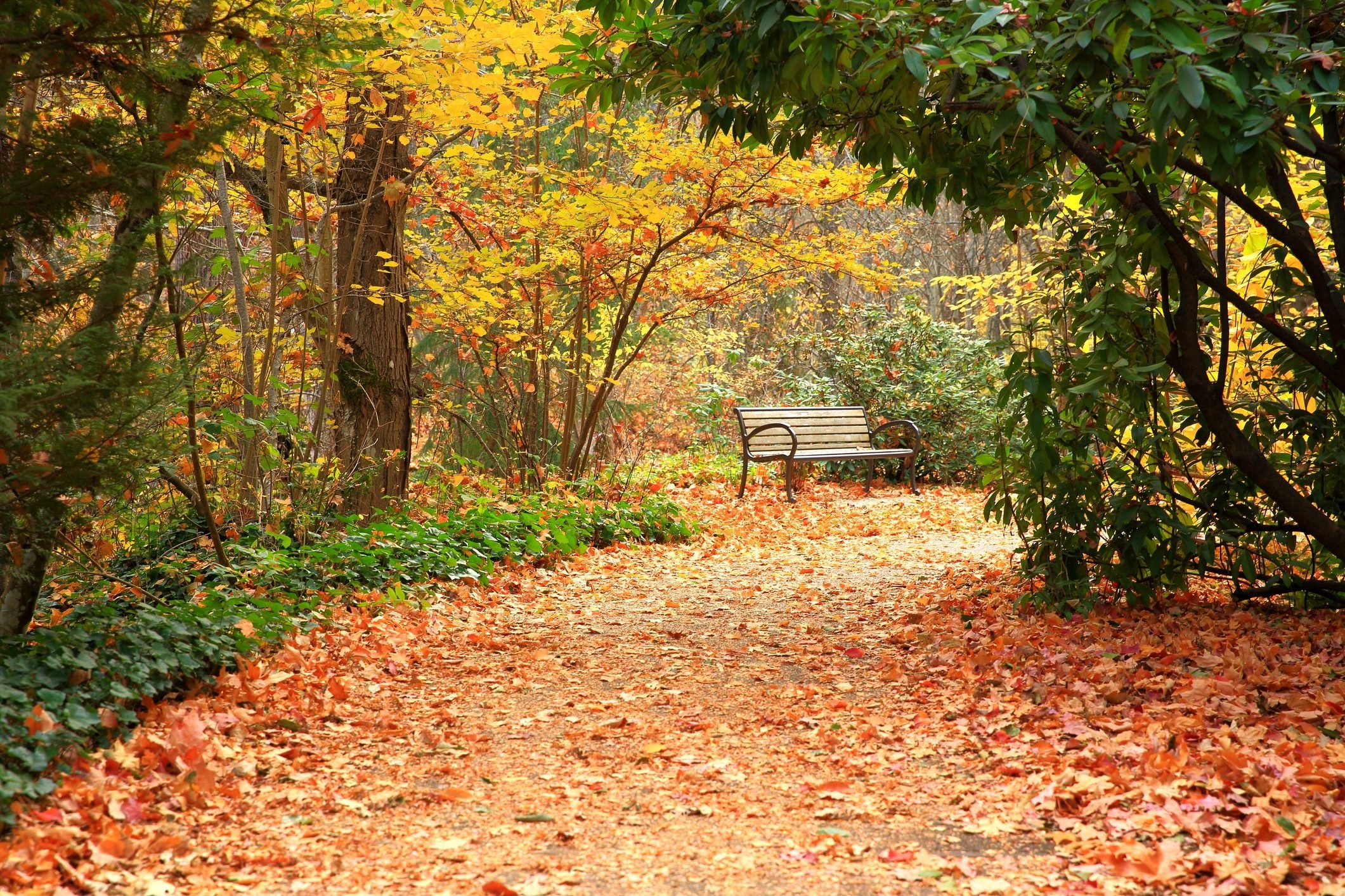 Quaint towns, Autumn leaves, Rustic charm, Seasonal tourism, Foliage spectacle, 2130x1420 HD Desktop