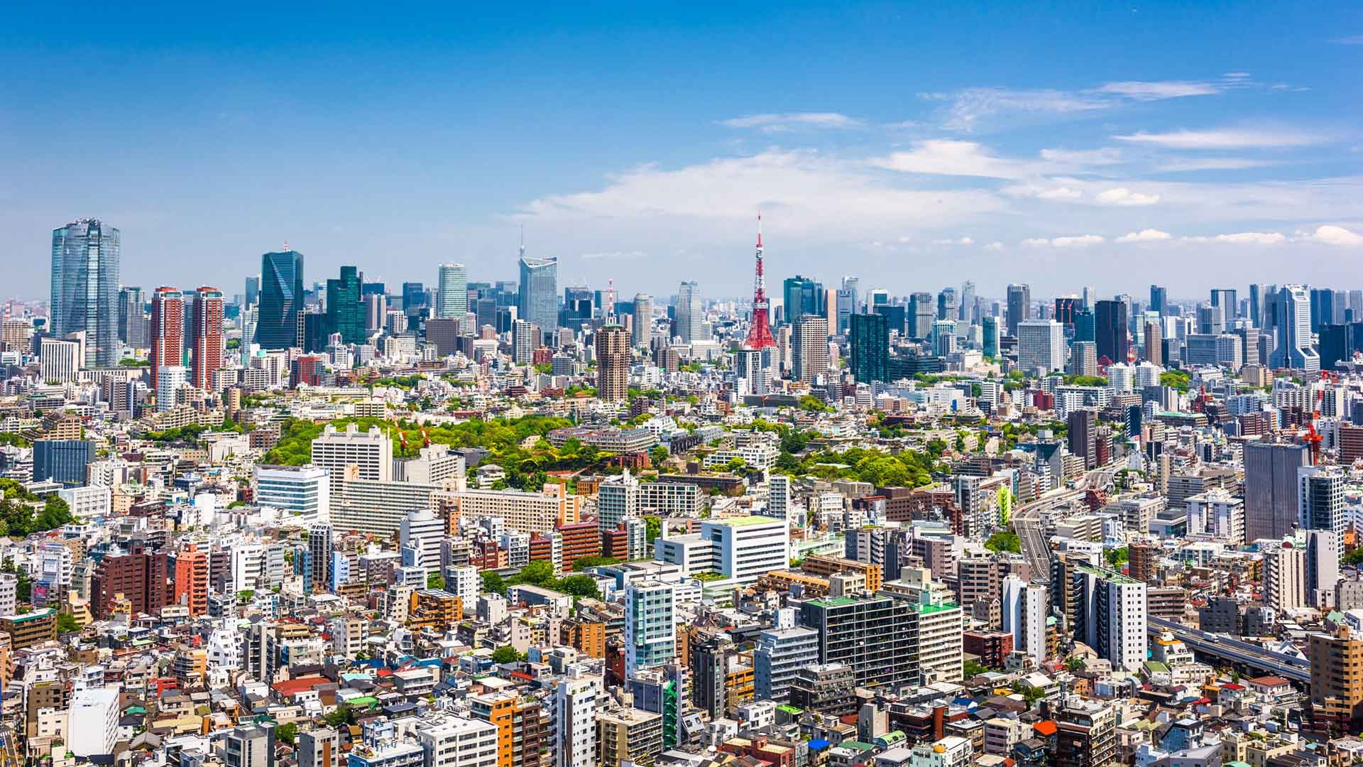 Tokyo Skyline, Moving to Tokyo, Japanese city, Pineapples, 1920x1080 Full HD Desktop