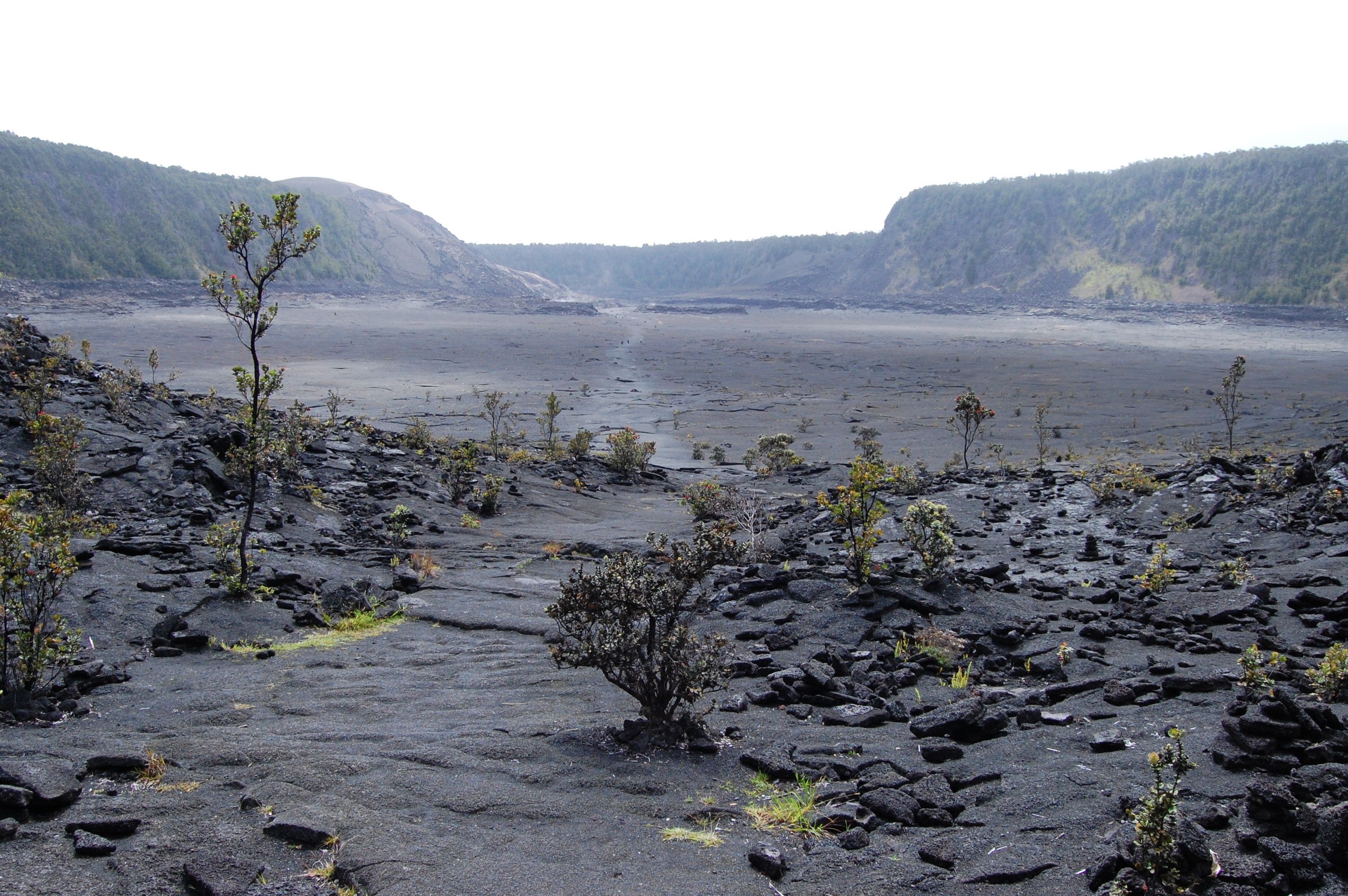 Volcanoes National Park, Hawaii, Big Island, Kilauea iki crater, 3010x2000 HD Desktop