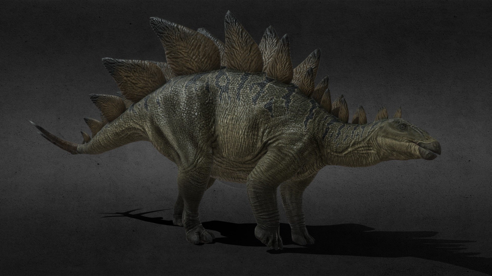 Stegosaurus 3D model, Mrtroodon, Digital sculpting, Paleontological accuracy, 1920x1080 Full HD Desktop