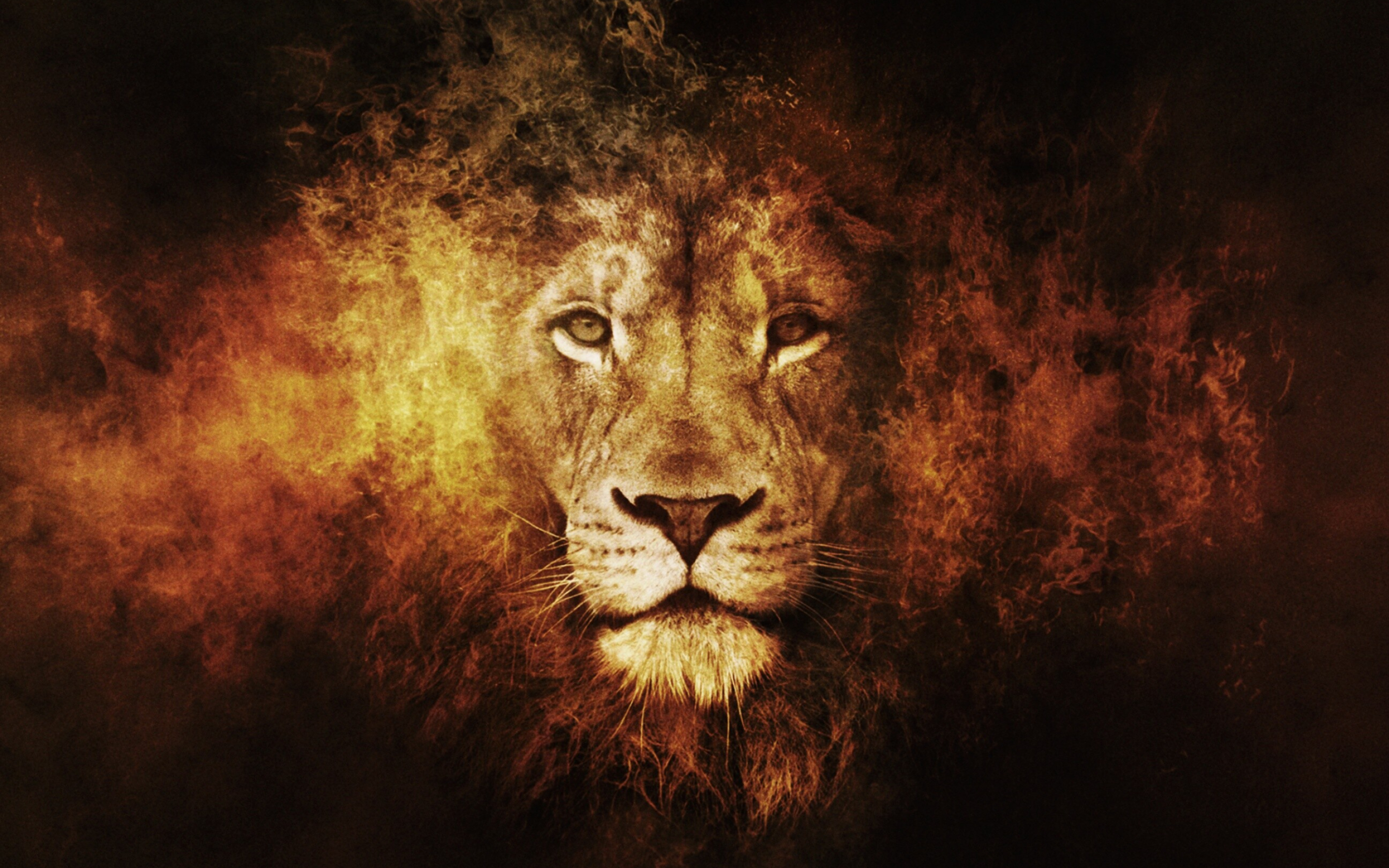 Lion: The average pride consists of around 15 lions, including several adult females and up to four males and their cubs of both sexes. 2880x1800 HD Background.
