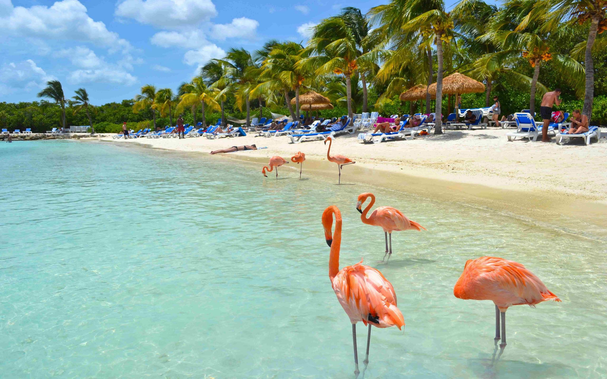 Aruba Island, Travels, Wallpaper, Scenic views, 2560x1600 HD Desktop