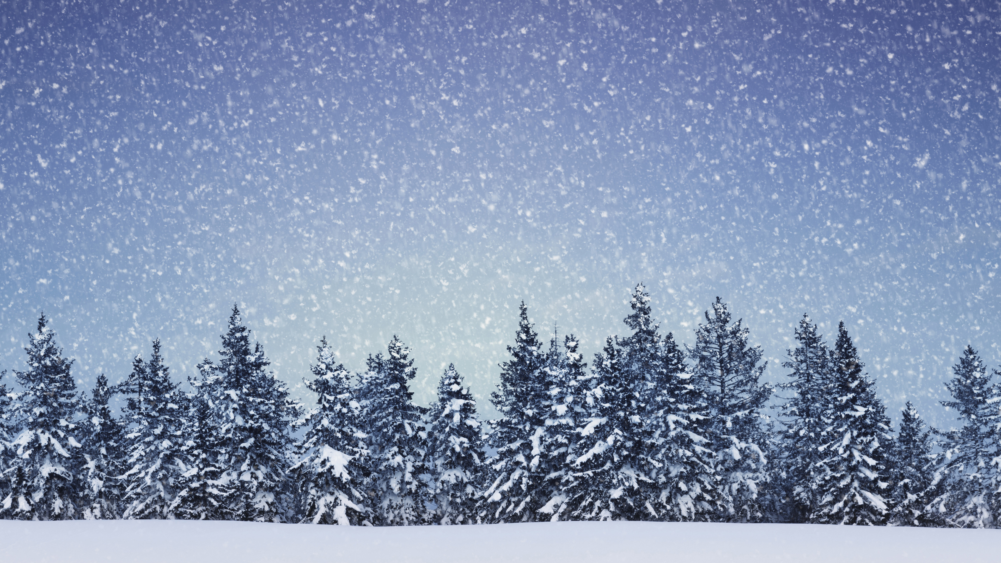 Forest, Ice Storm Wallpaper, 3840x2160 4K Desktop