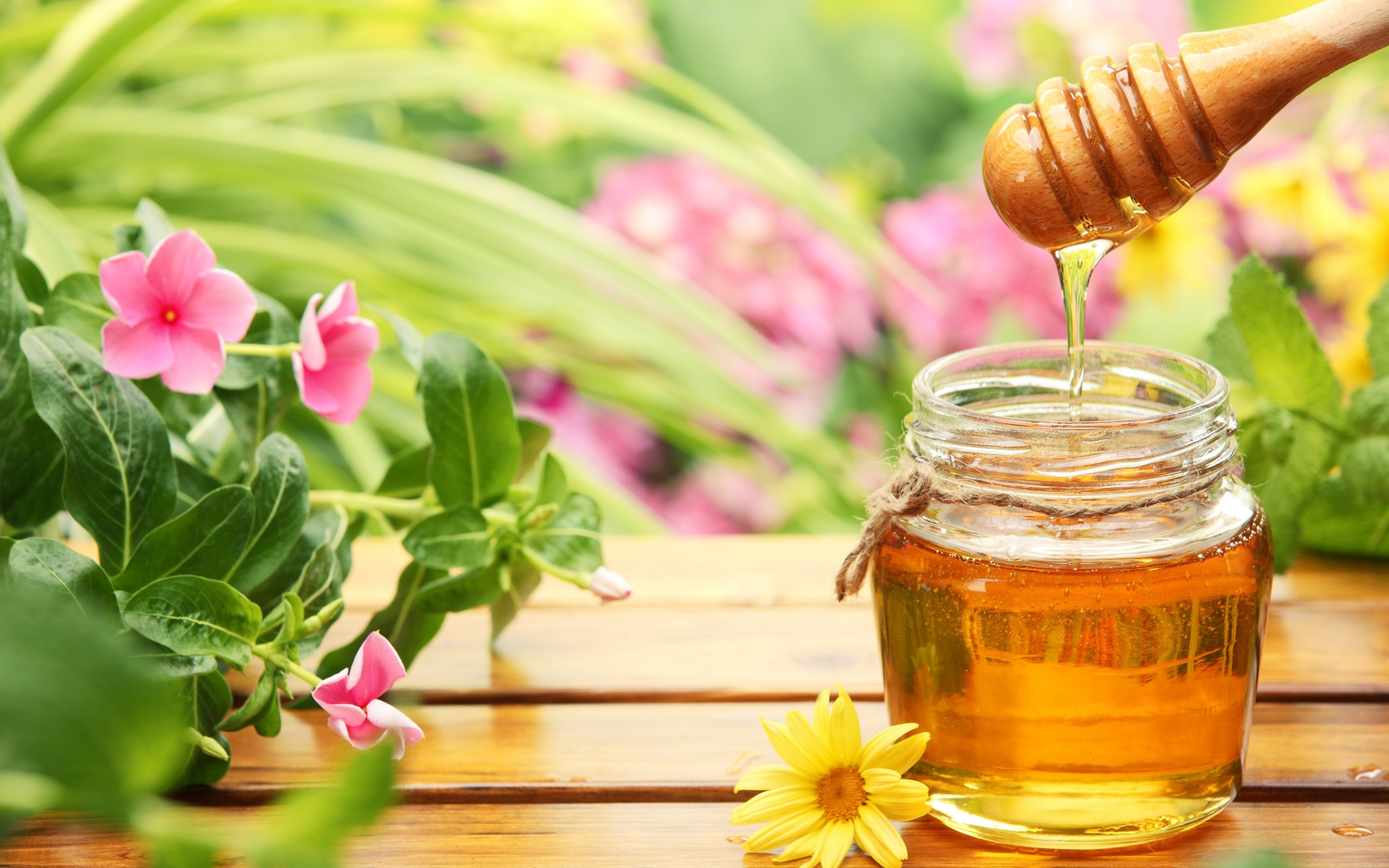 Honey: Produced by bees who have collected nectar or honeydew. 2880x1800 HD Wallpaper.