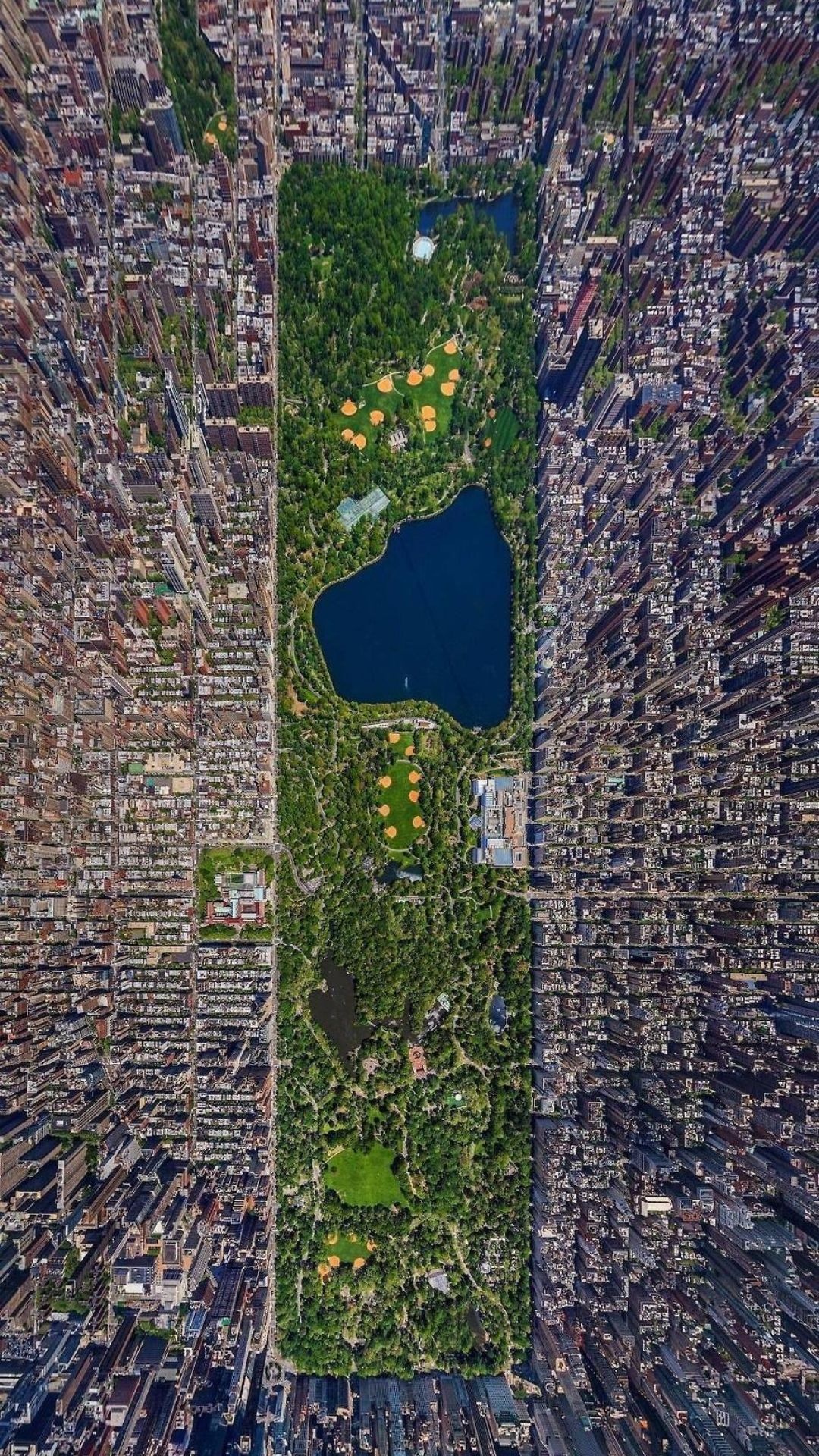 Central Park: Home to dozens of attractions like bike trails, sculptures, ponds, Urban design. 1080x1920 Full HD Wallpaper.