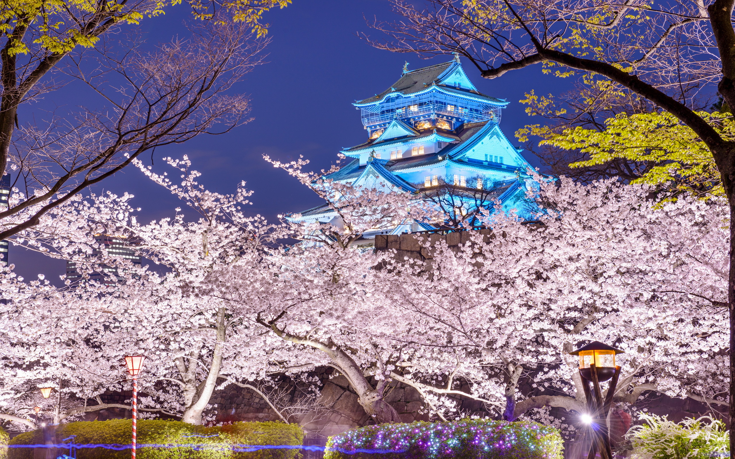 Osaka Castle, Travels, Ancient fortress, Majestic stronghold, 2560x1600 HD Desktop
