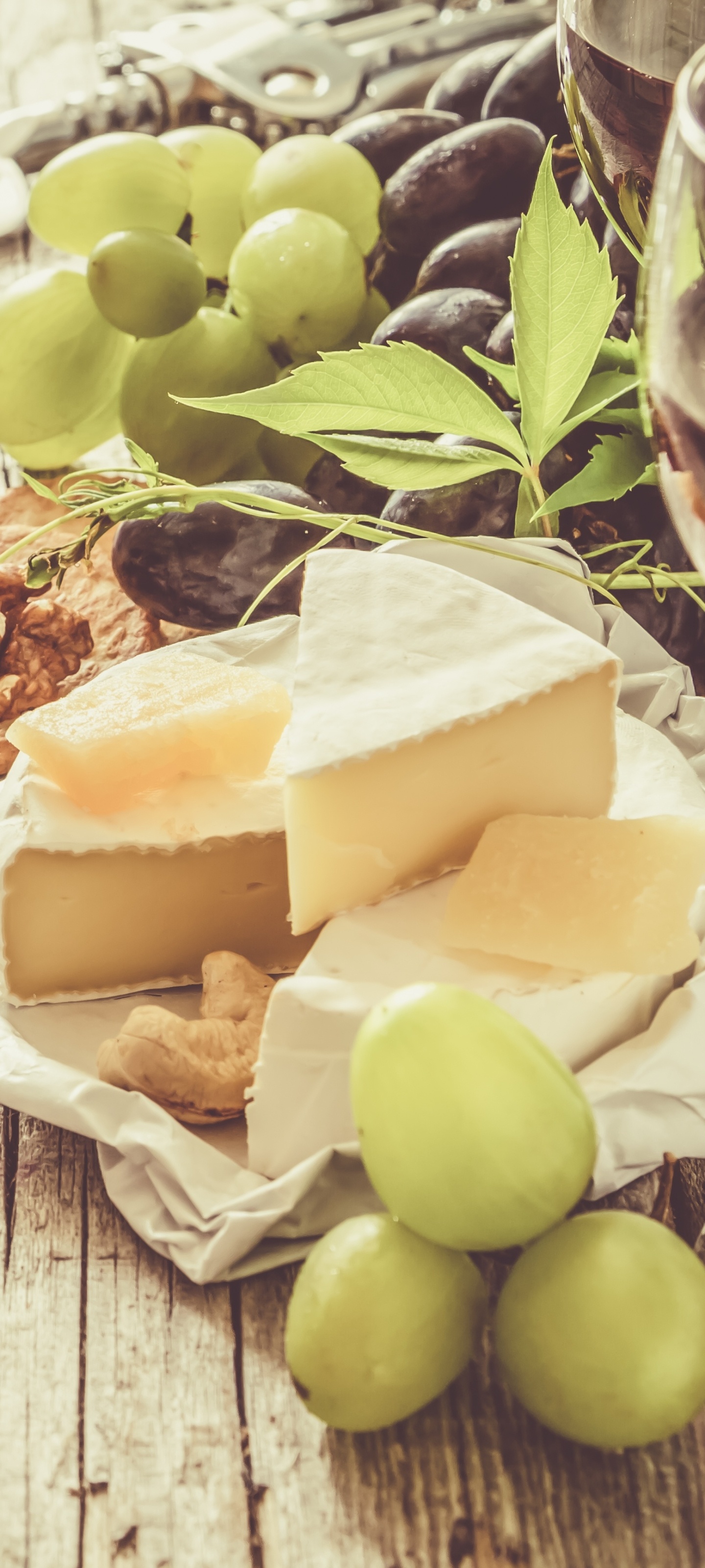 Cheese: Nutritious food consisting primarily the semisolid substance formed when milk curdles. 1440x3200 HD Wallpaper.