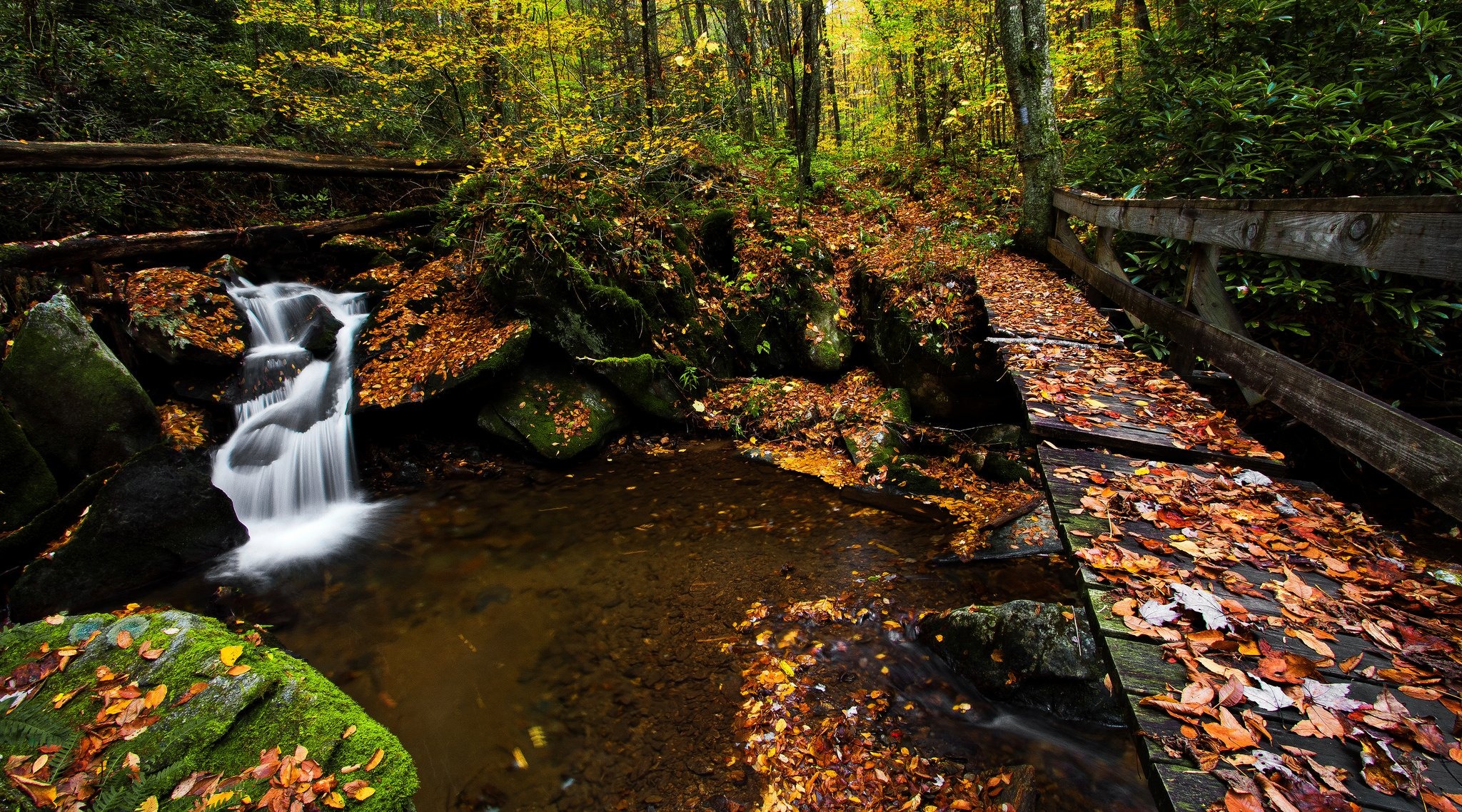 North Carolina: Nantahala National Forest, Macon County, United States. 2050x1140 HD Background.