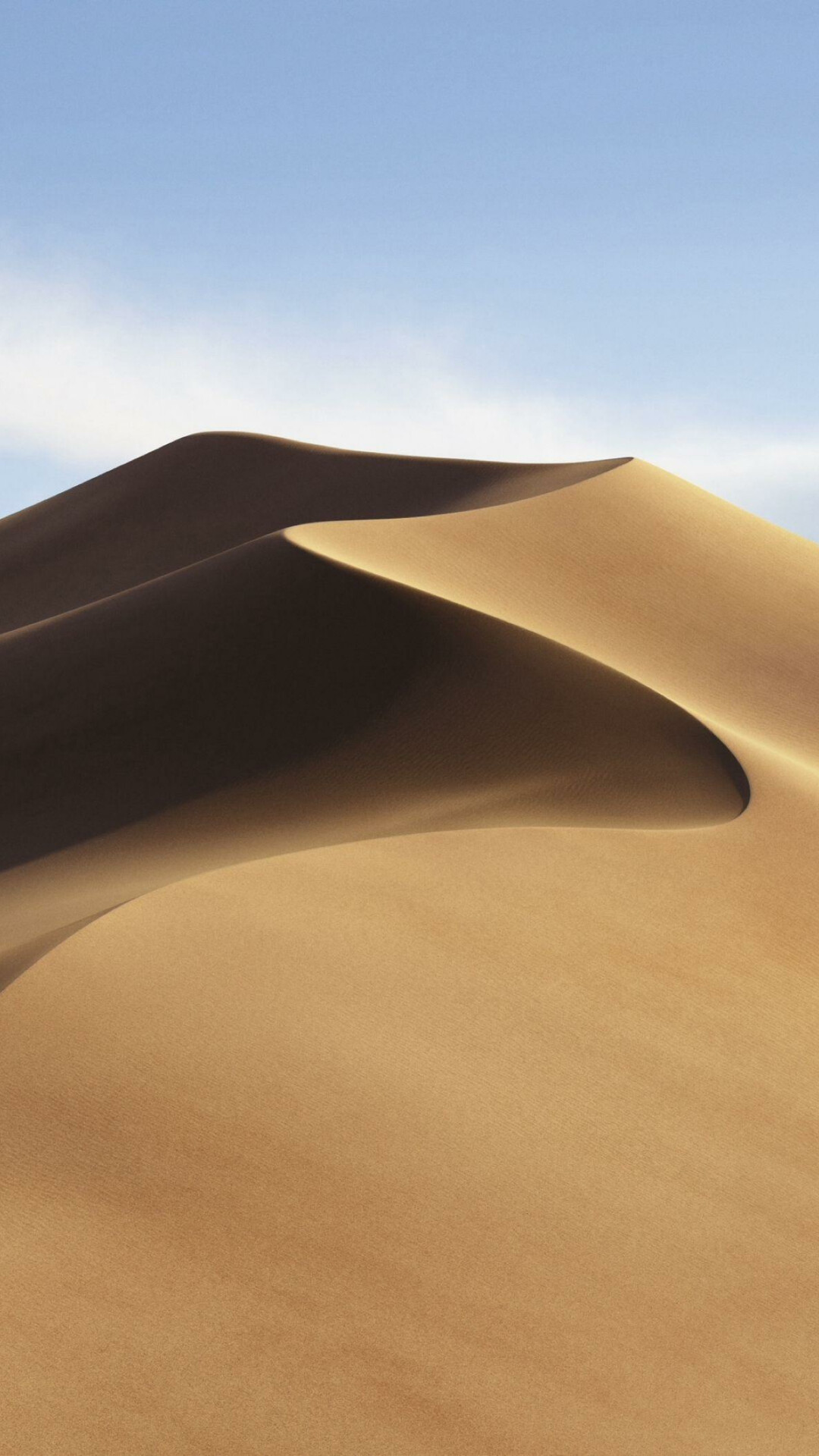 Desert: The wind builds dunes that rise as high as 180 meters. 1080x1920 Full HD Wallpaper.