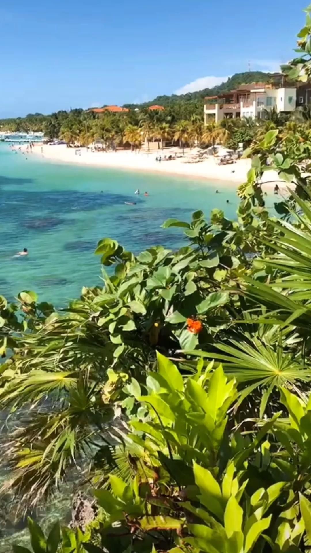 Vibrant colors of Honduras, Roatan travel guide, Stunning landscapes, Tropical paradise, 1080x1920 Full HD Phone