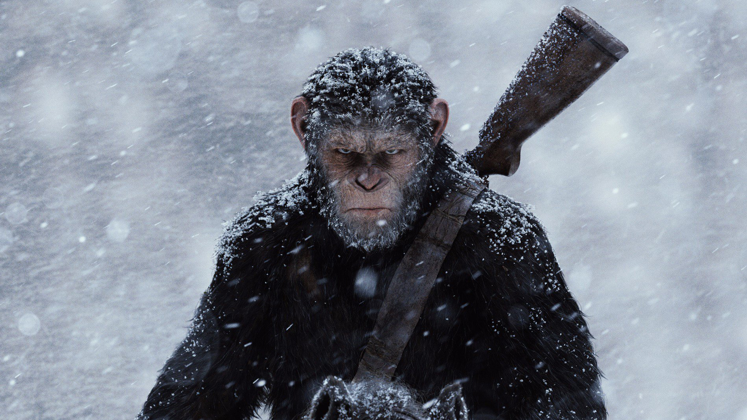 Planet of the Apes, War film, HD wallpaper, Background image, 2560x1440 HD Desktop