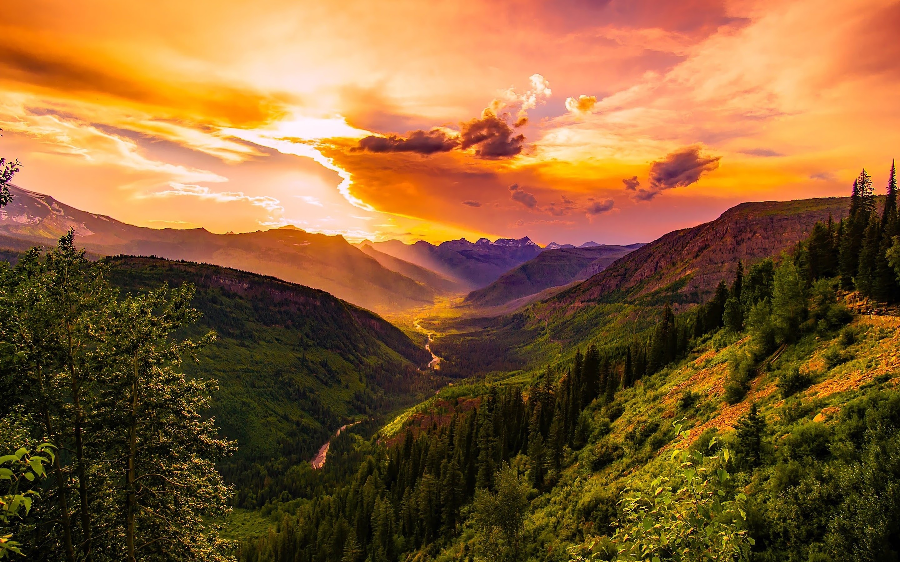 Mountains, Forest trees, Horizon 4K wallpaper, 2880x1800 HD Desktop