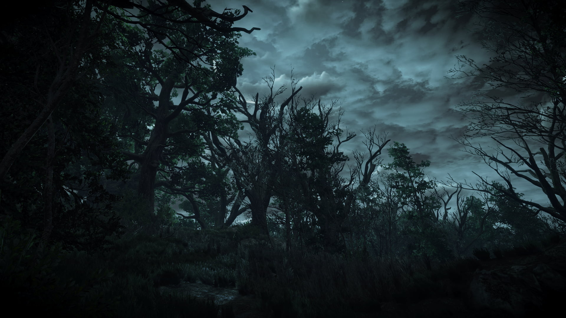 Gray Cloudy Sky: Dark gloomy forest, Rain-bearing cloud, Twilight. 1920x1080 Full HD Wallpaper.