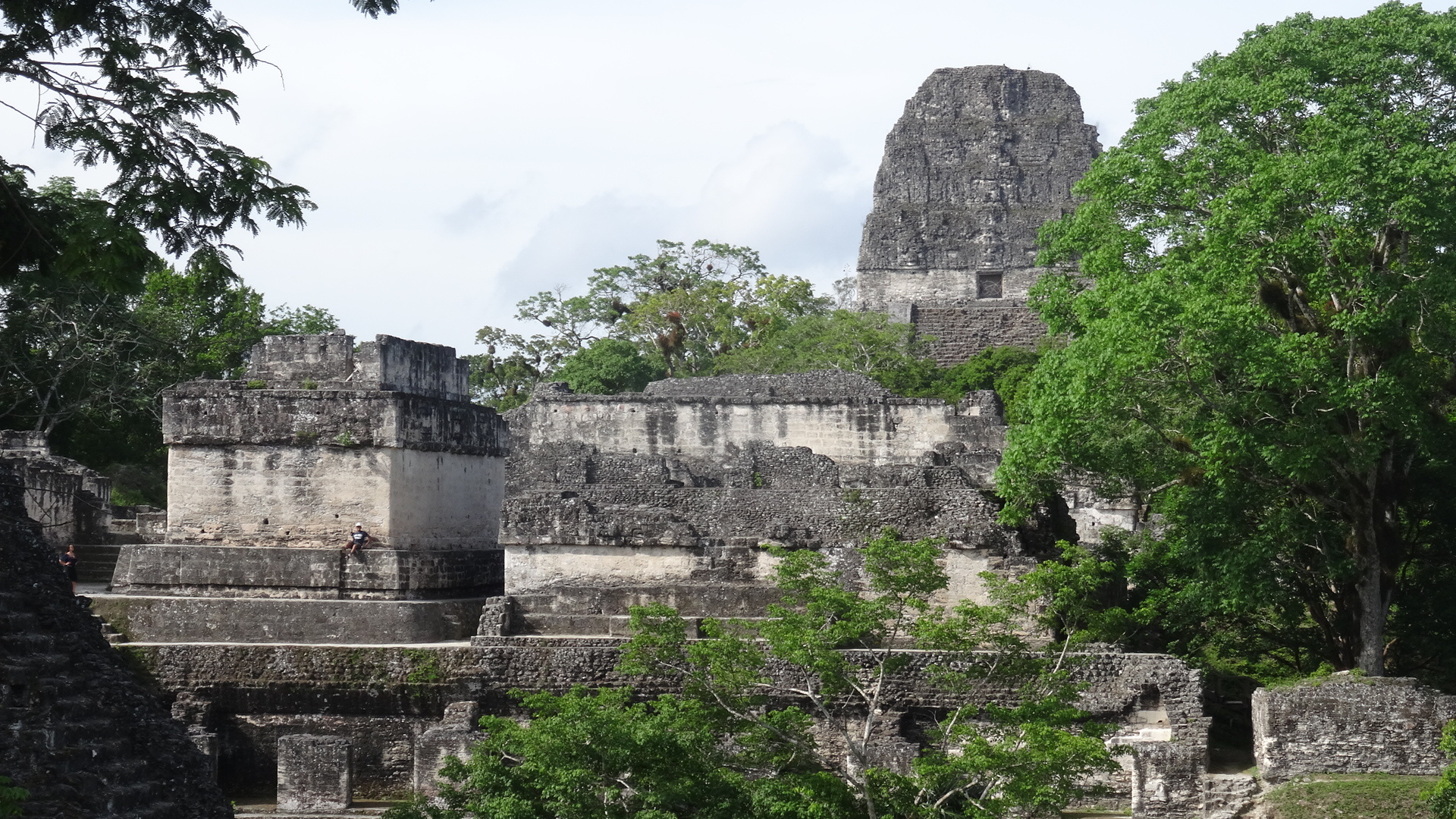 Tikal in Guatemala erkunden, 1920x1080 Full HD Desktop