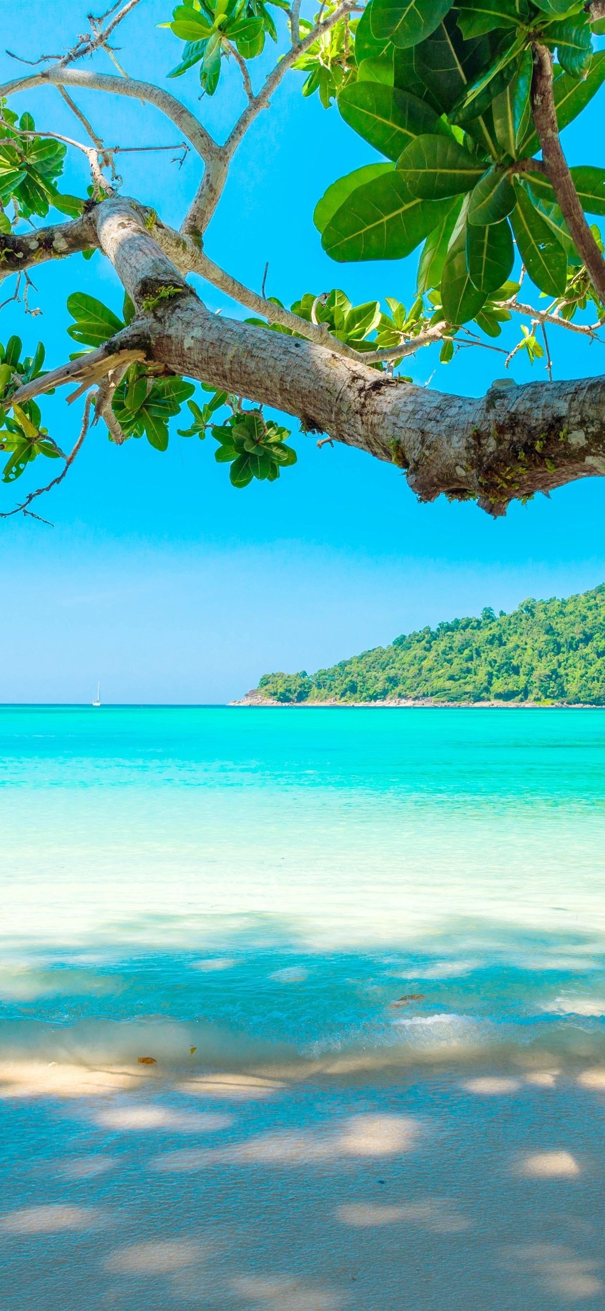 Trinidad and Tobago, Caribbean wonders, Island serenity, Natural beauty, 1250x2690 HD Phone