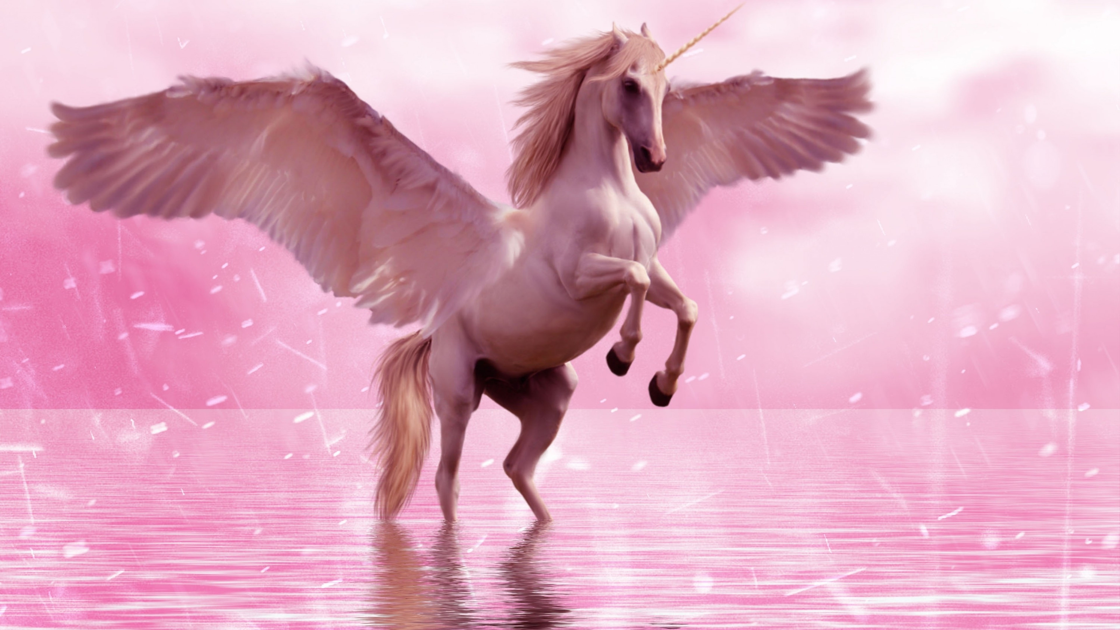 Pegasus unicorn with wings, UHD TV wallpapers, Horse creature, Mythical beauty, 3840x2160 4K Desktop