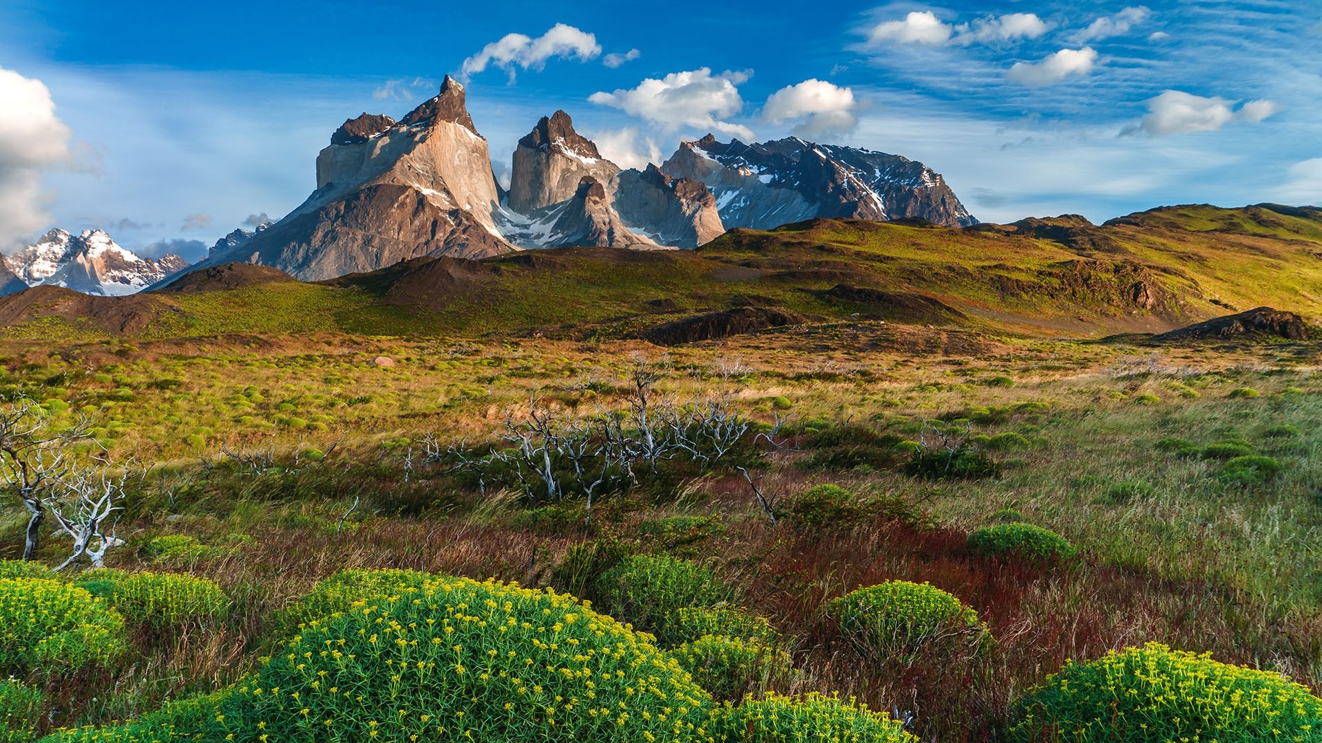 Torres del Paine National Park, Lago Peho, Southern Chile, Windows 10 spotlight, 1920x1080 Full HD Desktop