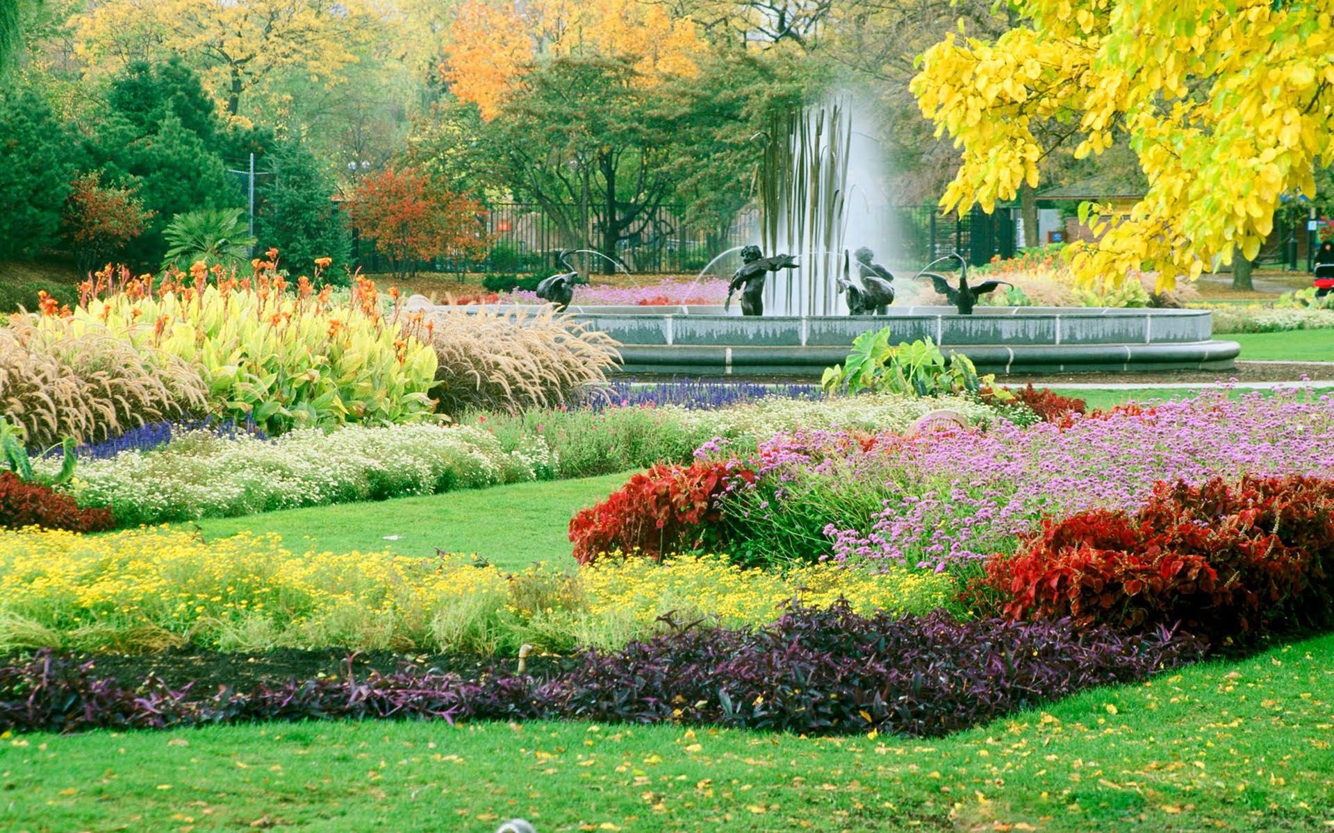 Fall flower garden, Autumn beauty, Seasonal colors, Nature's farewell, 1920x1200 HD Desktop