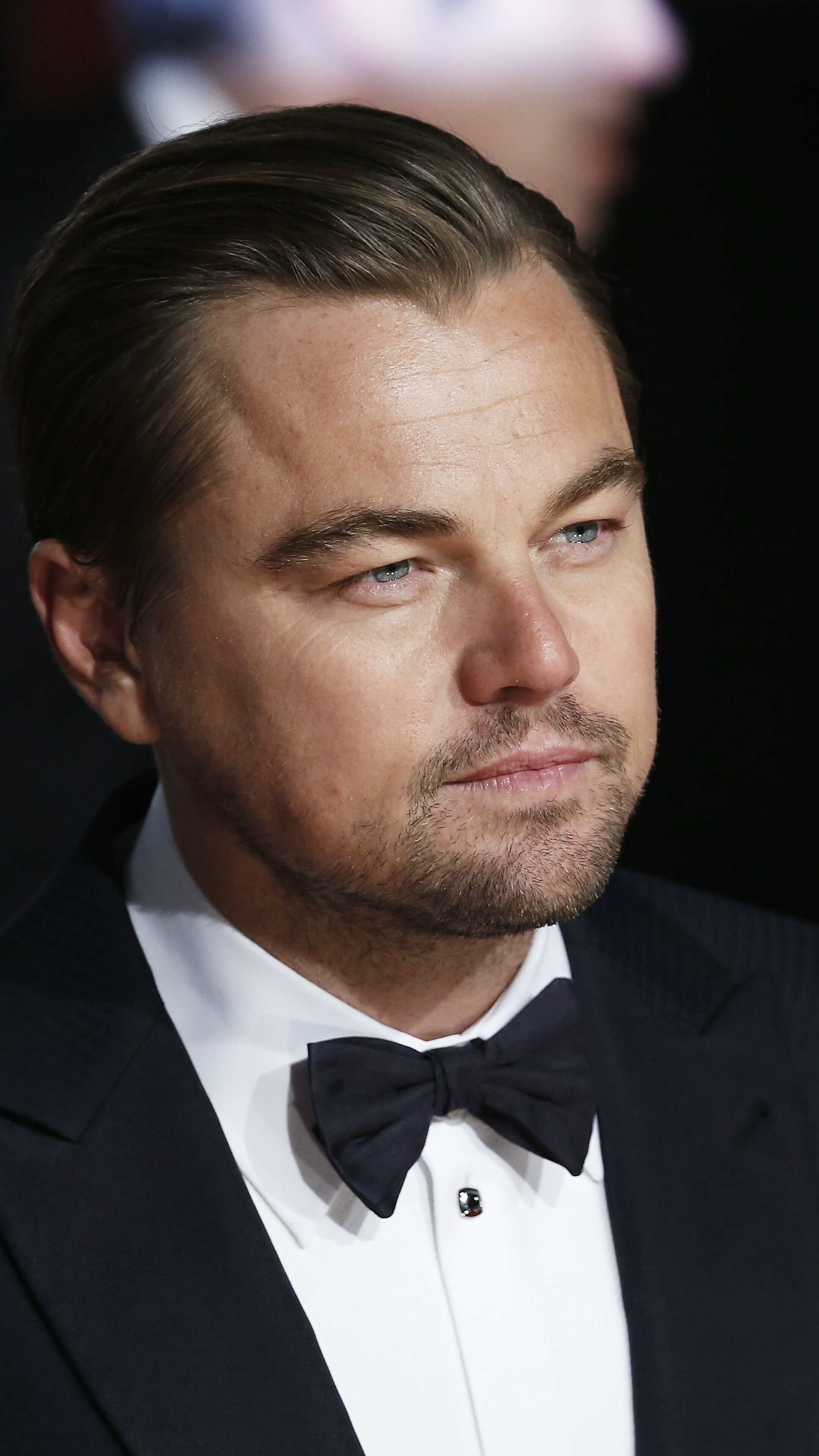 Leonardo DiCaprio, Oscar Gewinner, 2016 Oscars, Prominente Schauspieler, 2160x3840 4K Handy