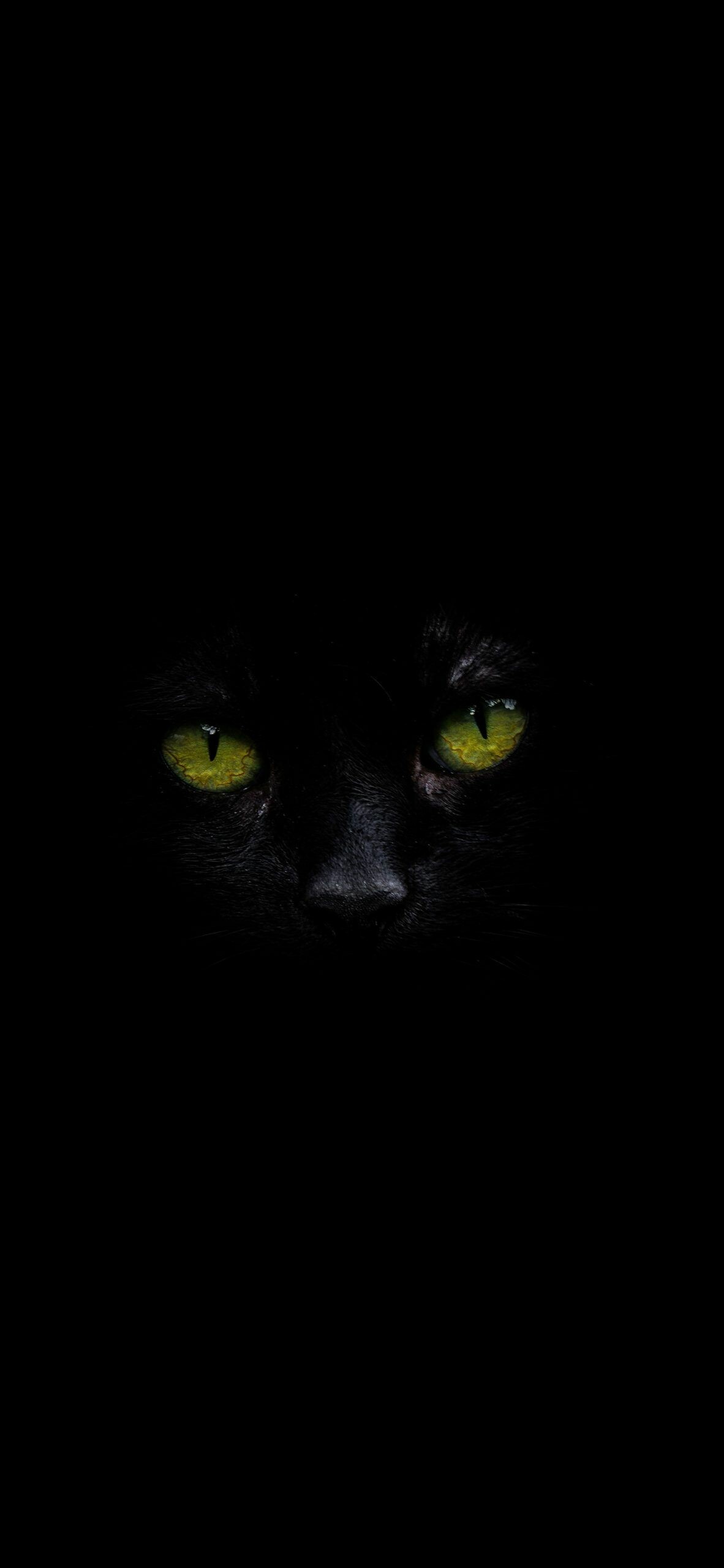 Mysterious black cat, Mesmerizing green eyes, Captivating wallpapers, 1190x2560 HD Phone