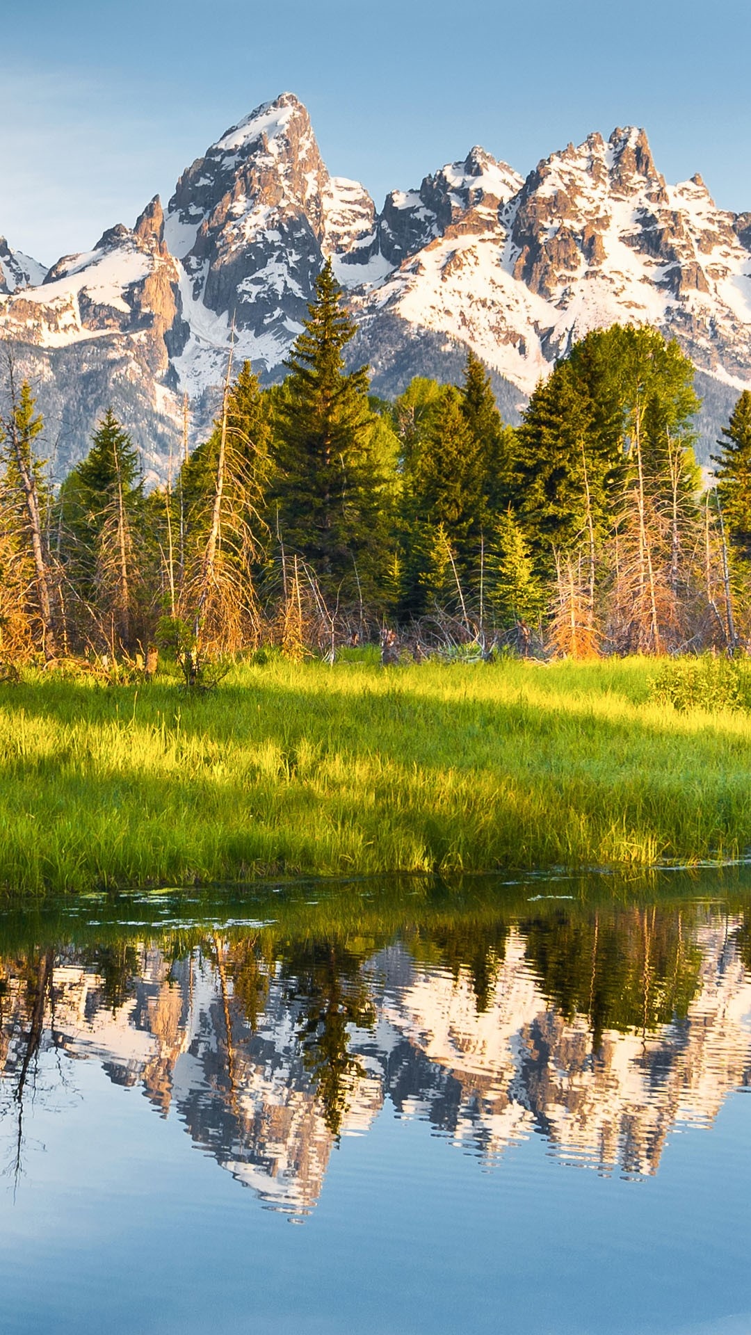 Grand Teton National Park, 4K wallpaper, Beautiful meadow, Wyoming landscape, 1080x1920 Full HD Phone
