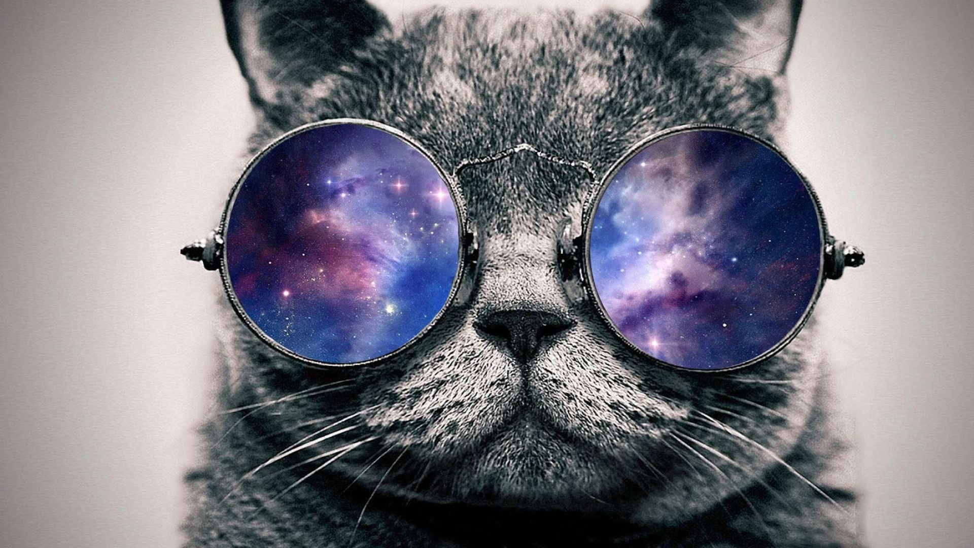 Galaxy Cat, Spectacled companion, Cosmic adventures, HD glasses, 1920x1080 Full HD Desktop