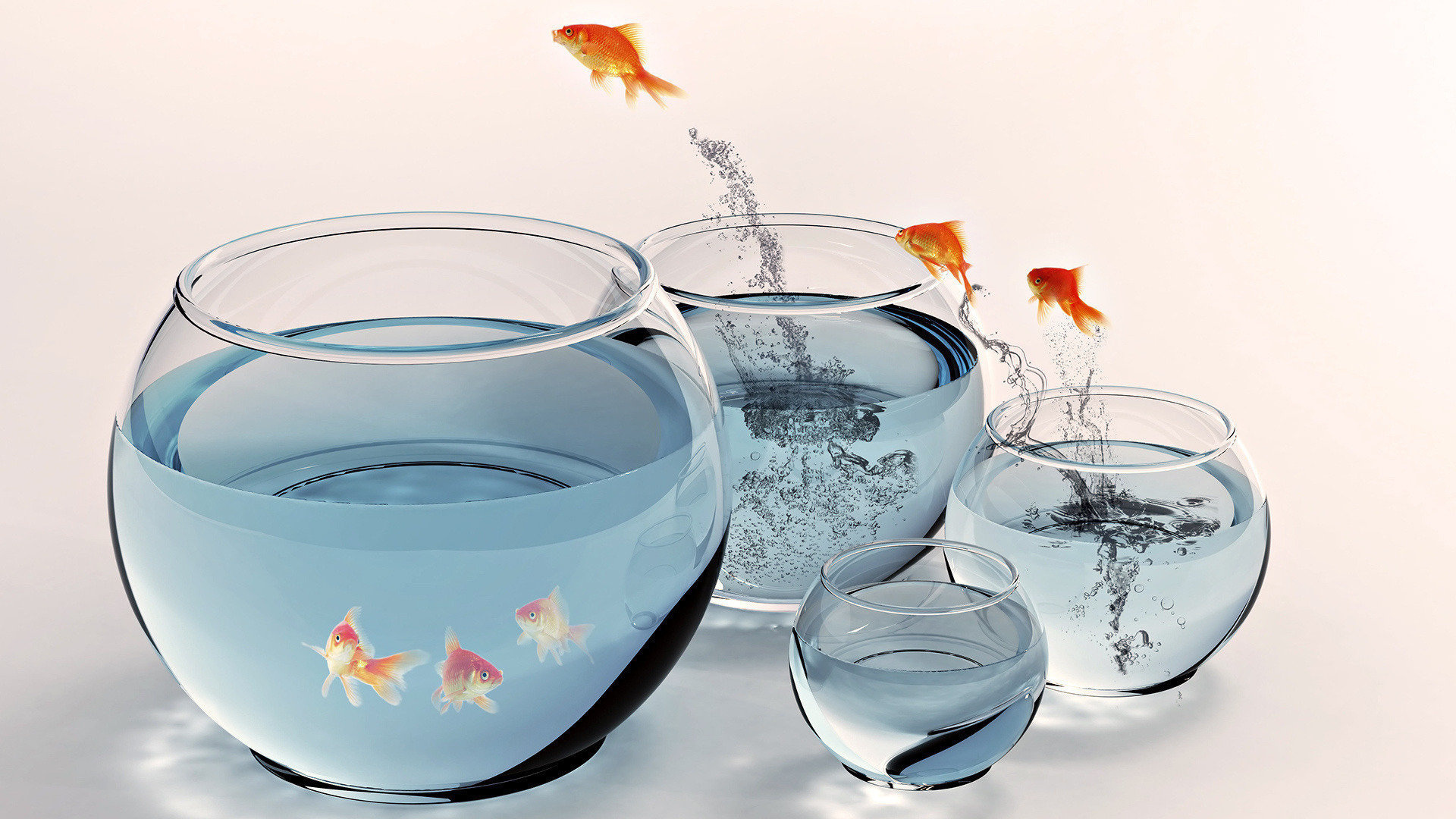 Goldfish: Classified as a coldwater fish, and can live in unheated aquaria. 1920x1080 Full HD Background.