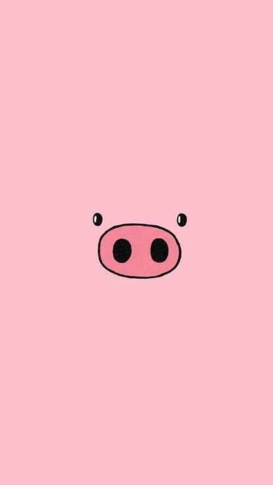 Popular pig iPhone wallpapers, Funny pig backgrounds, Piggy phone wallpapers, Cute animal wallpapers, 1080x1920 Full HD Handy