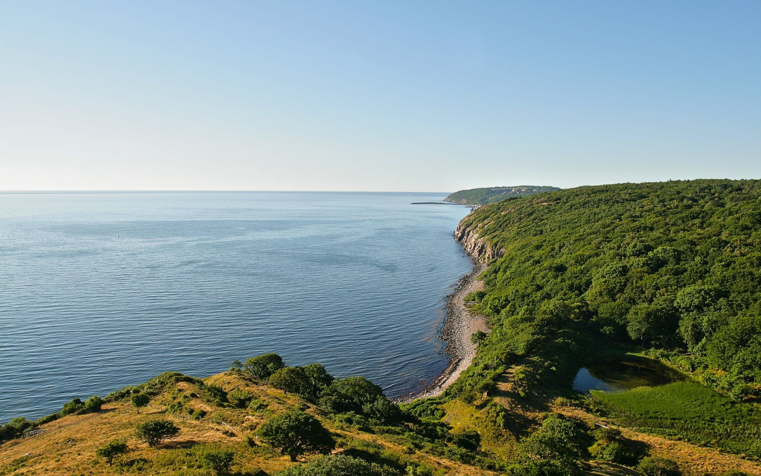 Danish coast, Sea and forest, Nature's wonders, Coastal serenity, 2560x1600 HD Desktop
