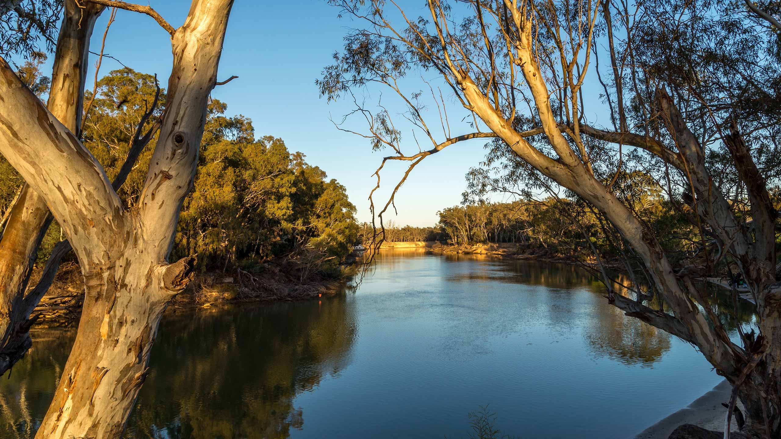 The Murray River, Private retreat, Queen of the river, Serene sanctuary, 2560x1440 HD Desktop