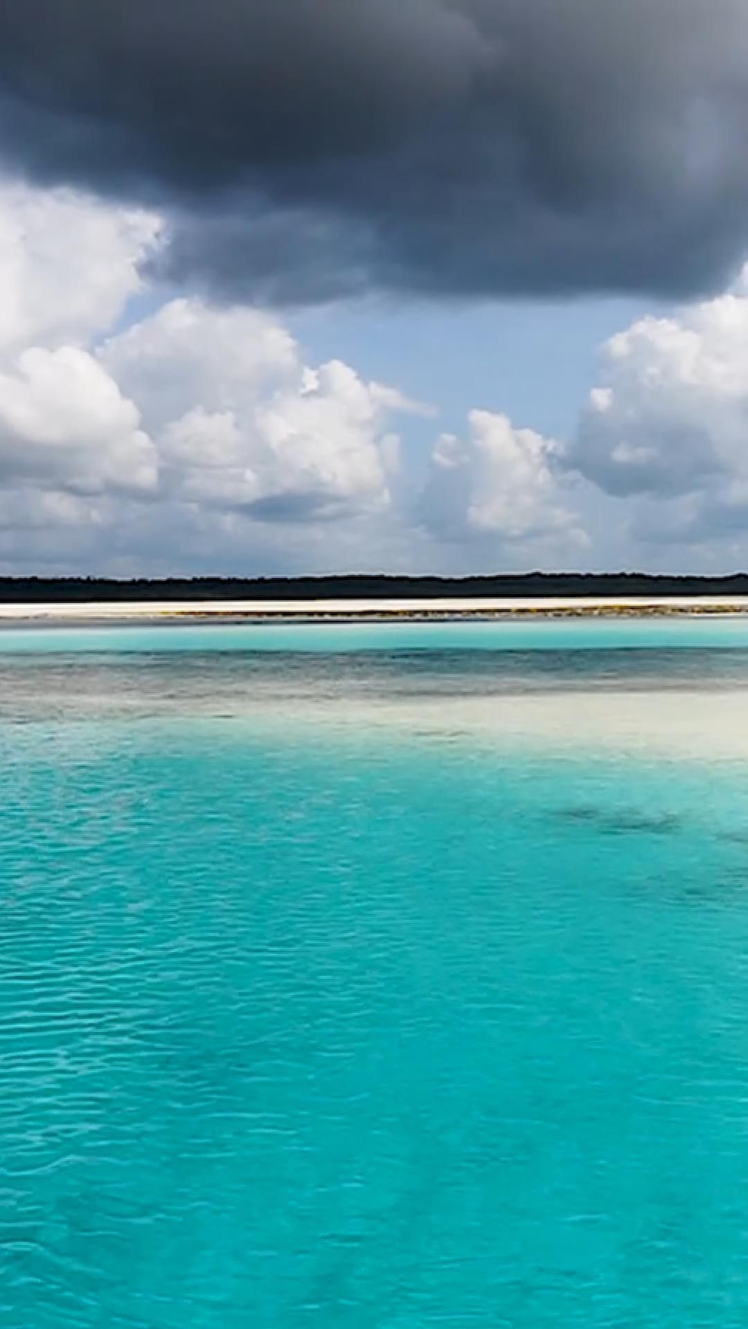 Zanzibar beauty, Tropical paradise, Island escape, Exotic destination, 1080x1920 Full HD Phone