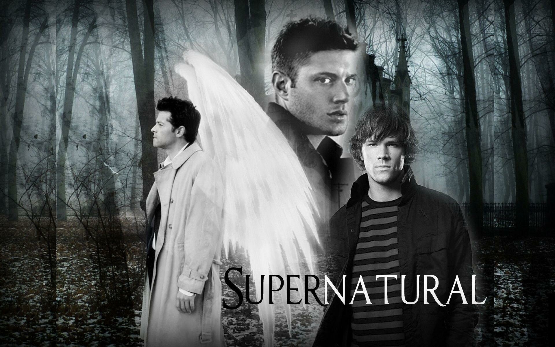 Supernatural: Cass, Dean, Sam, Monochrome, TV show. 1920x1200 HD Background.