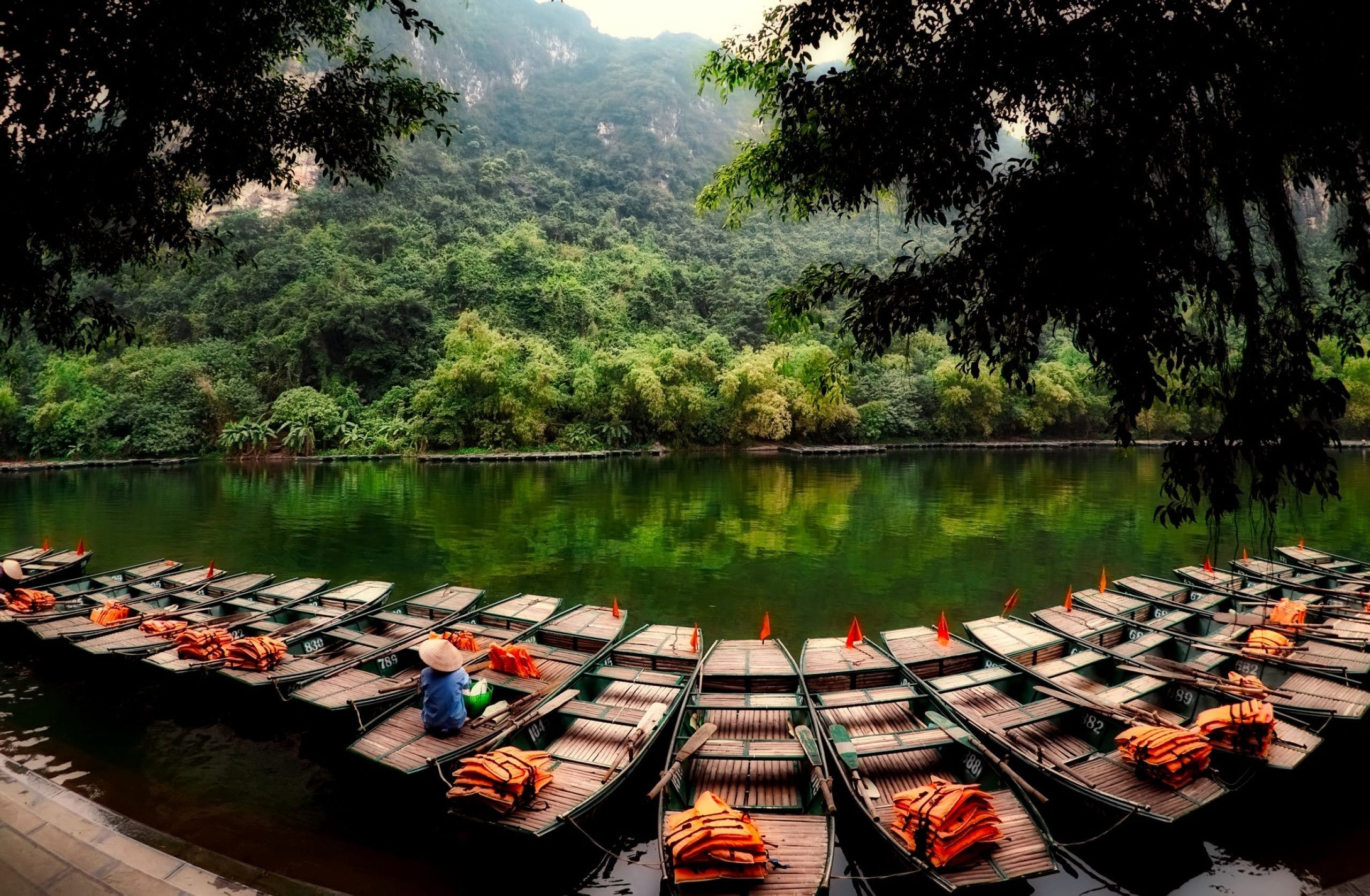Vietnam travels, Ethan Simpson, HD wallpaper, Village and rice fields, 2560x1680 HD Desktop