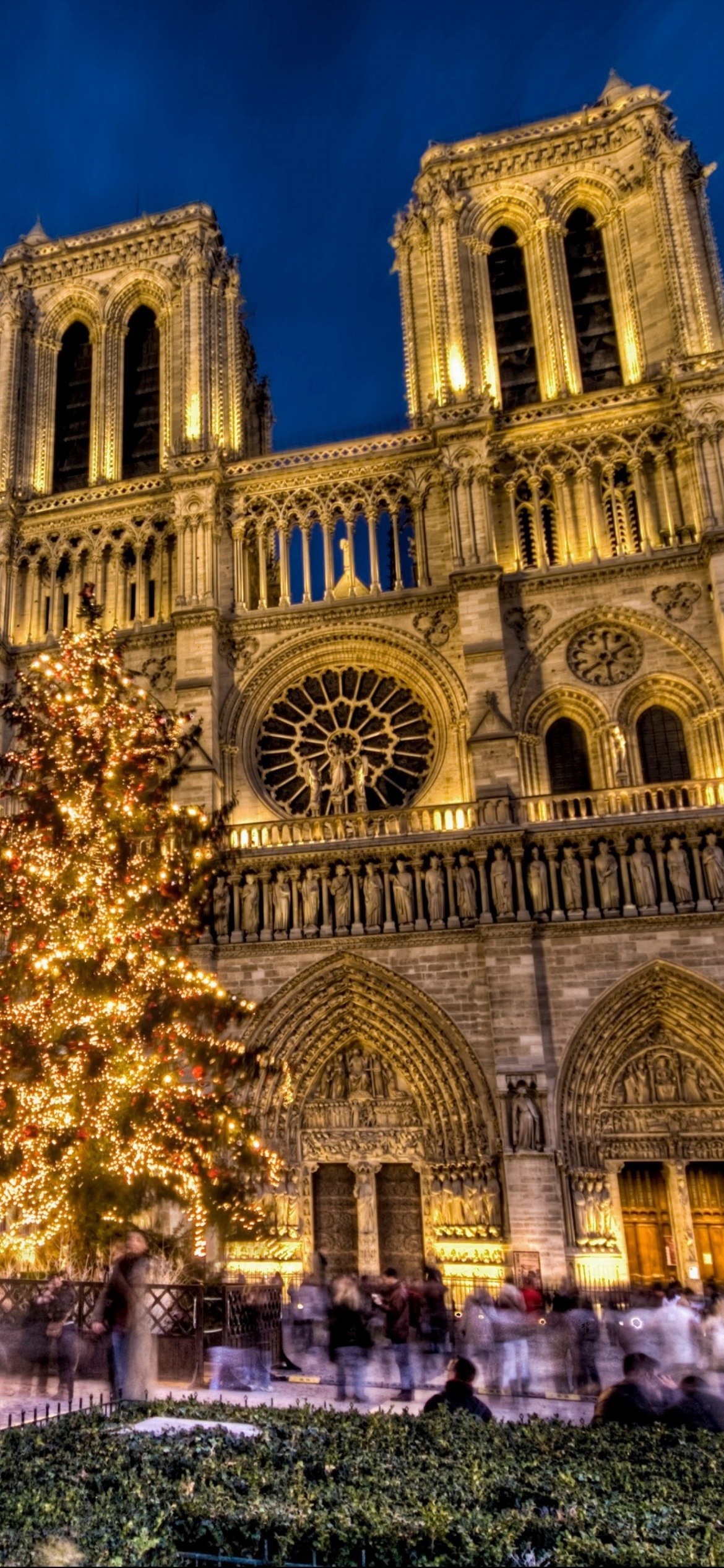 Notre-Dame Cathedral, Gothic masterpiece, Iconic landmark, Historical treasure, 1170x2540 HD Handy