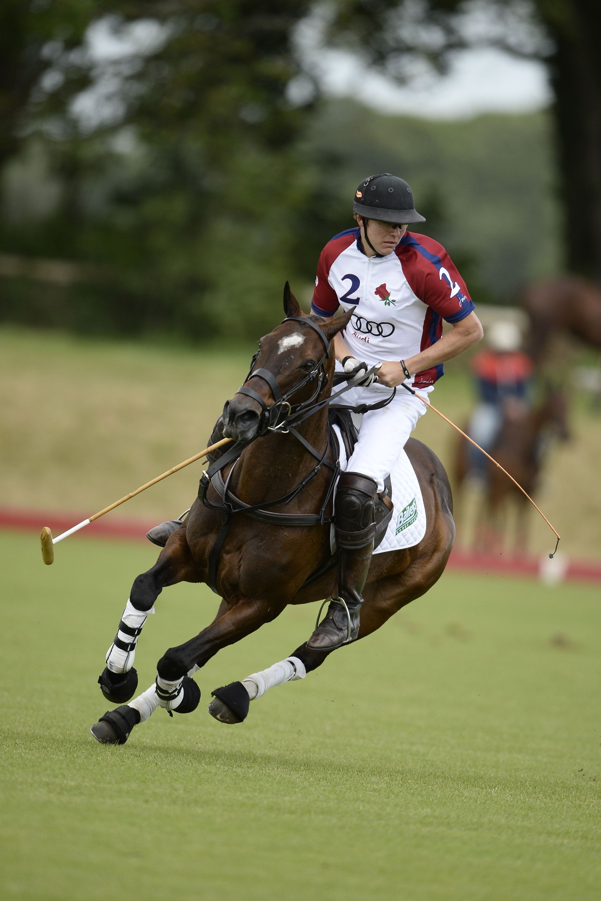 Horse Polo: Max Charlton at the 2013 Audi International at Beaufort, Competitive equestrian sport. 2000x3000 HD Background.