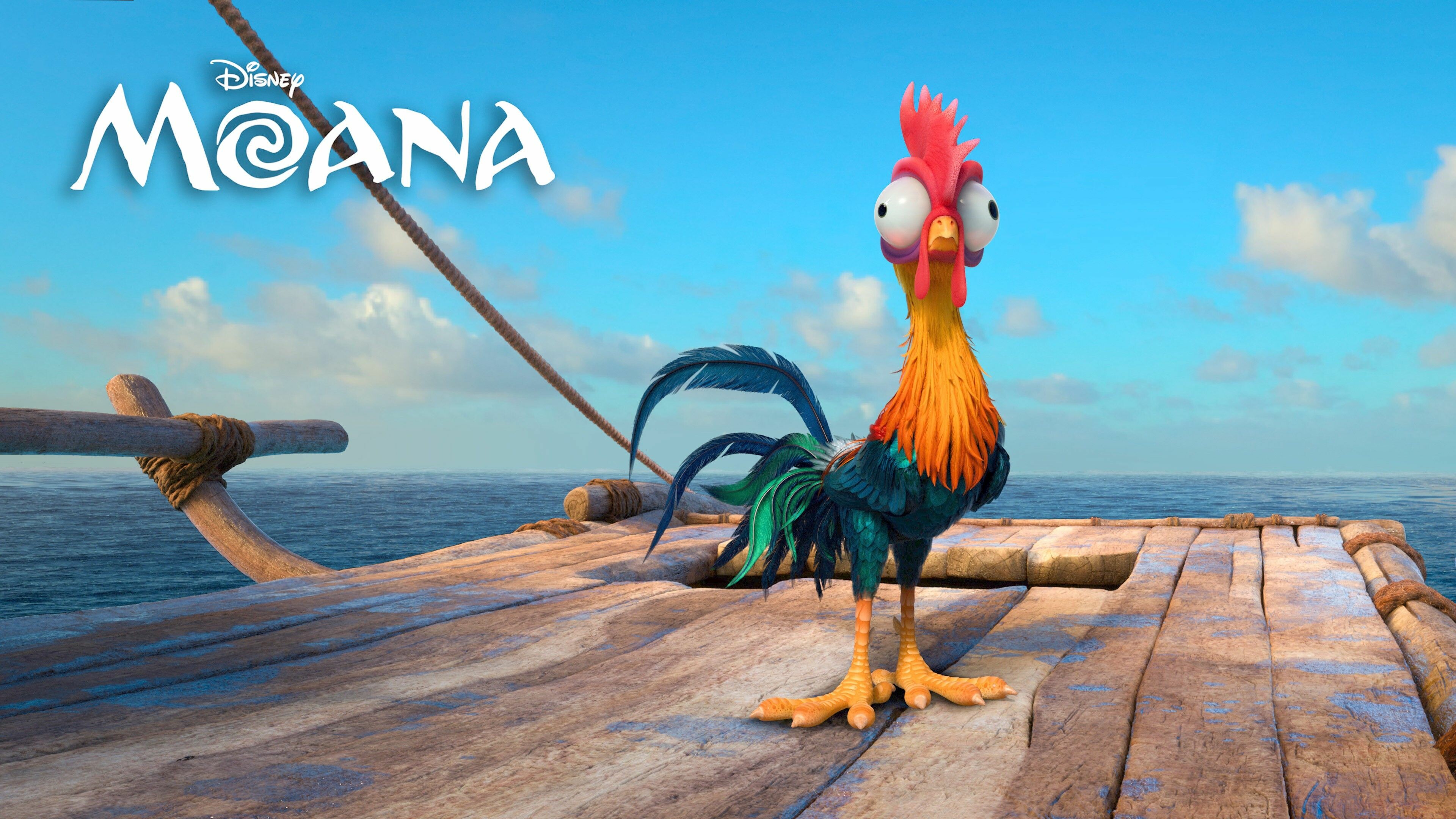 Moana: Heihei, Pet rooster, Voiced by Alan Tudyk. 3840x2160 4K Background.