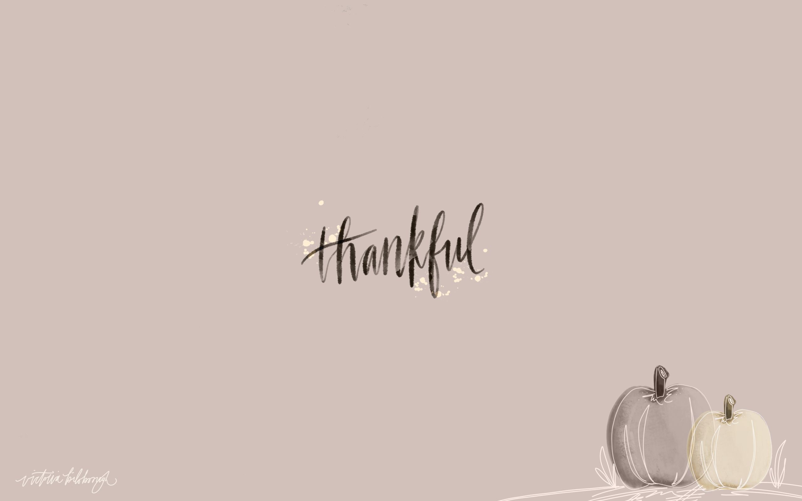 Gratitude: Thanksgiving, A national holiday, The blessing of the harvest, Encouragement. 2560x1600 HD Background.