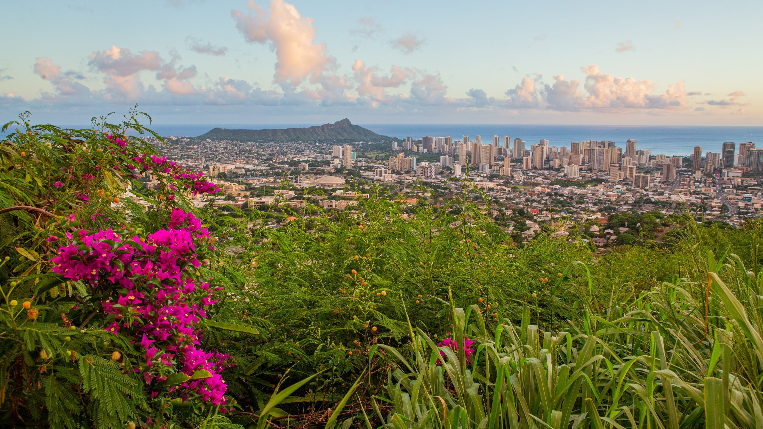 Honolulu: Vacation rental in Makiki, Honolulu. 2560x1440 HD Background.