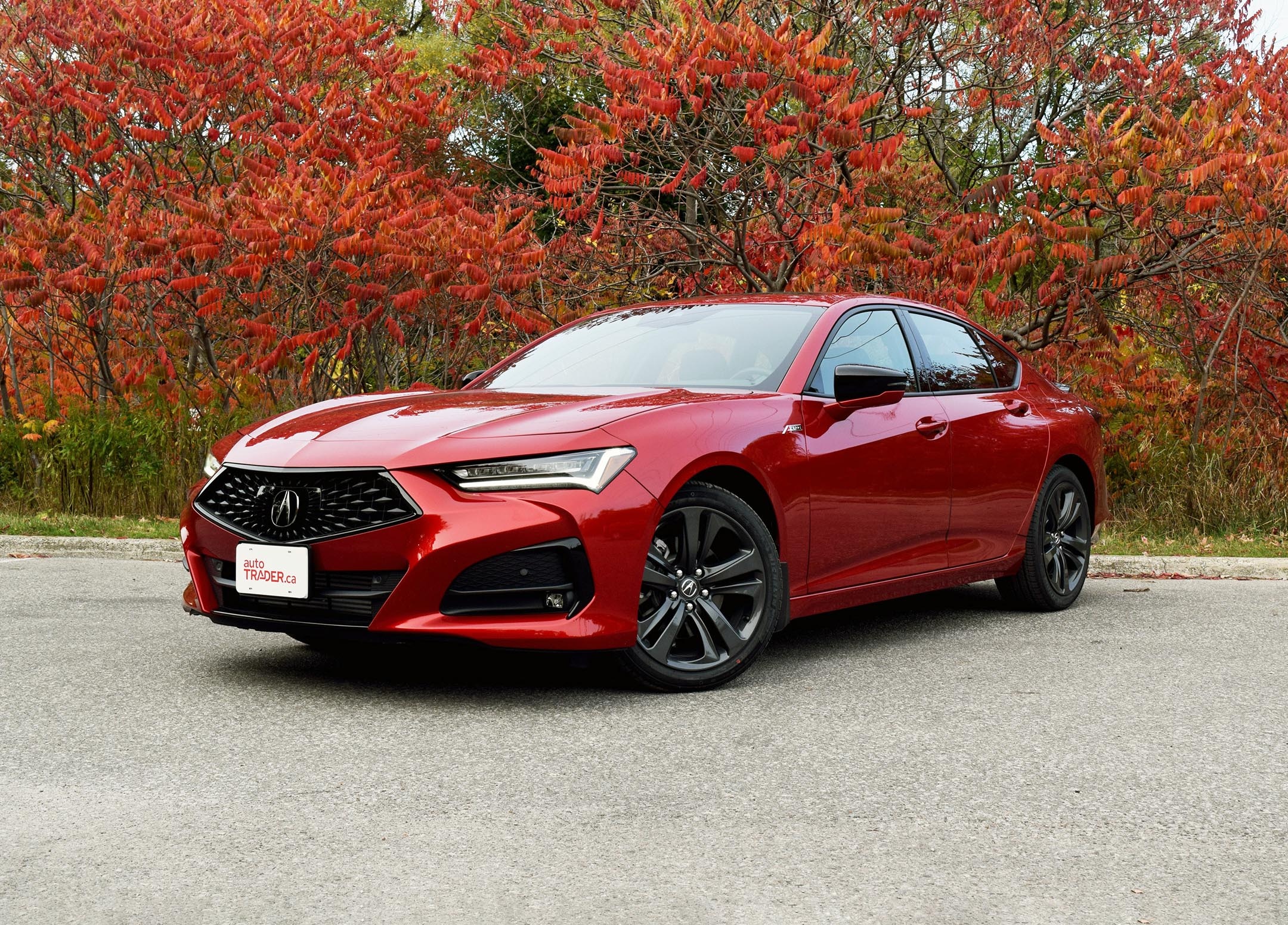 Acura TLX, First drive review, 2160x1560 HD Desktop