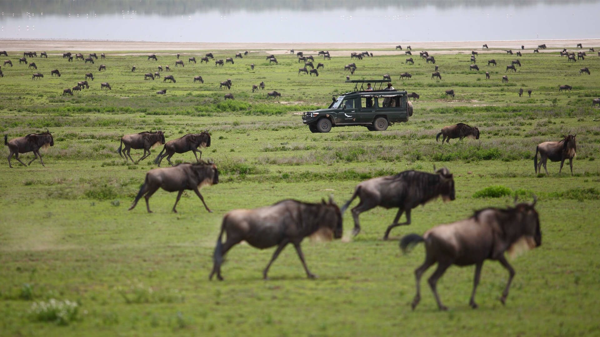 Maasai Mara National Reserve, Luxury Kenya safari, Andbeyond experience, Wildlife sanctuary, 1920x1080 Full HD Desktop
