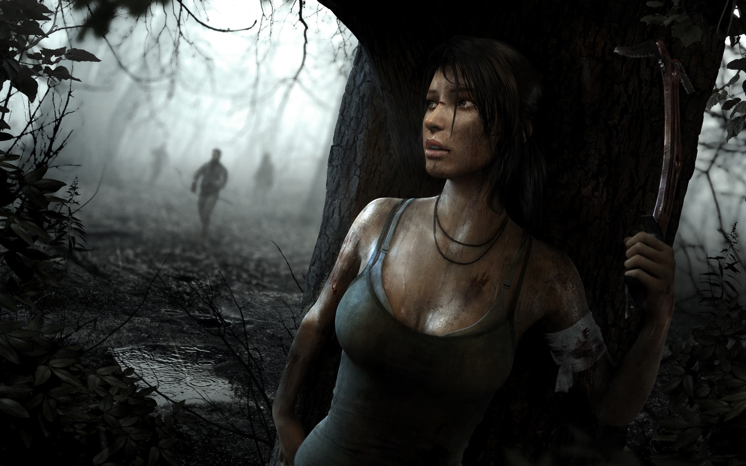 Artistic portrayal, Stunning visuals, Tomb Raider 2013, Art masterpiece, 2560x1600 HD Desktop