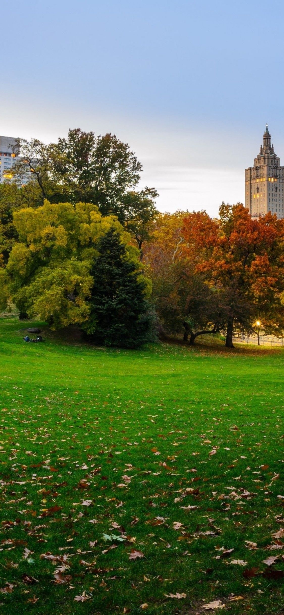 Central Park: One of the largest urban parks in the world, Meadows and wooded areas. 1130x2440 HD Background.