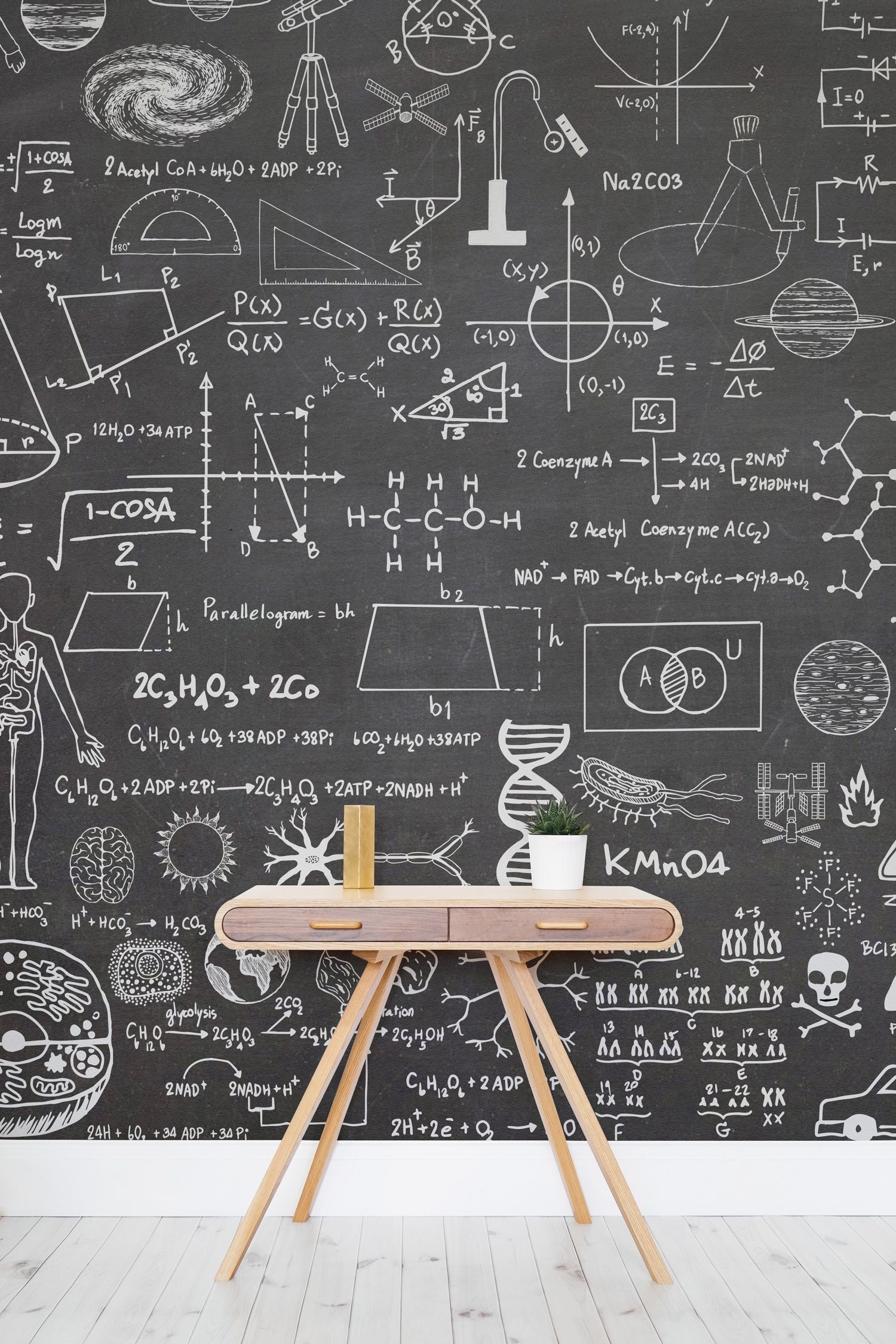 Chalkboard web, Science room, Educational environment, Learning tools, 1500x2250 HD Phone
