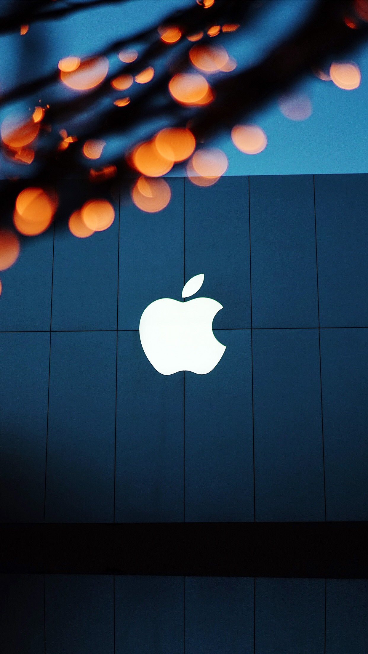 Apple Logo: An American computer and consumer electronics company, Steve Jobs. 1250x2210 HD Wallpaper.
