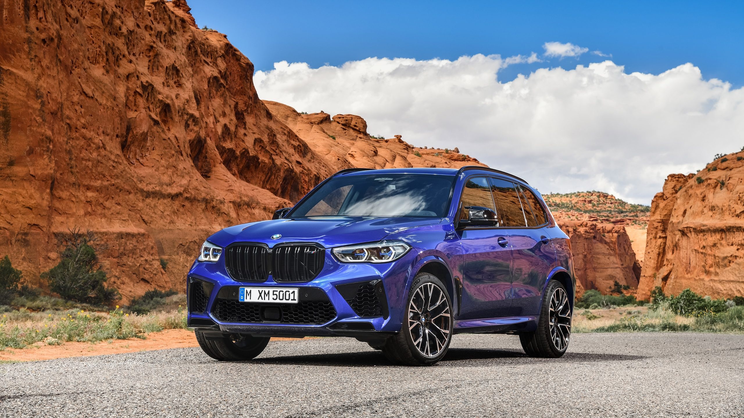 BMW X5 M Competition, High-performance SUV, Motorsport DNA, Thrilling driving experience, 2560x1440 HD Desktop