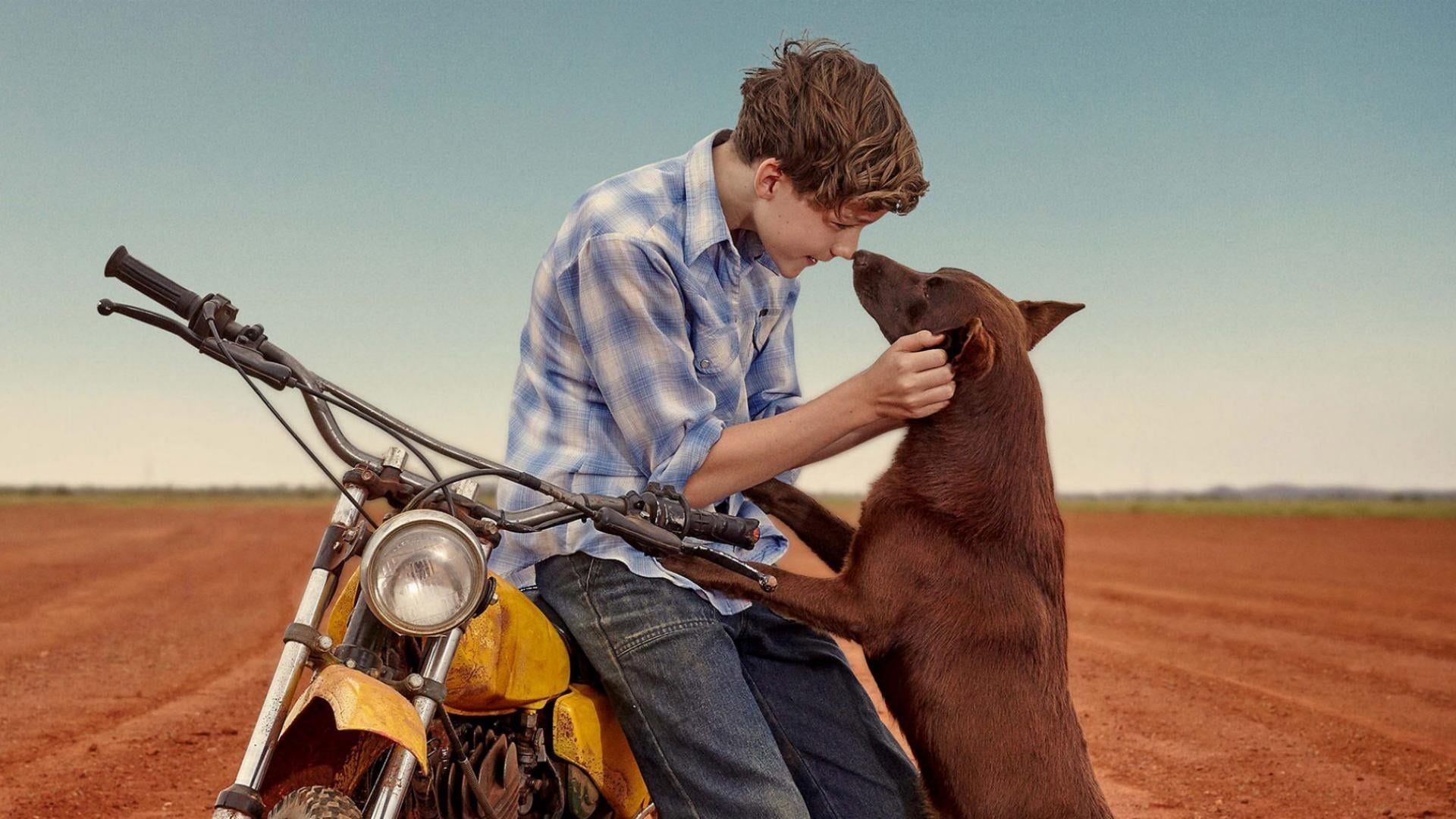 Red Dog movie, Australian outback, Childhood friends, Heartwarming tale, 1920x1080 Full HD Desktop