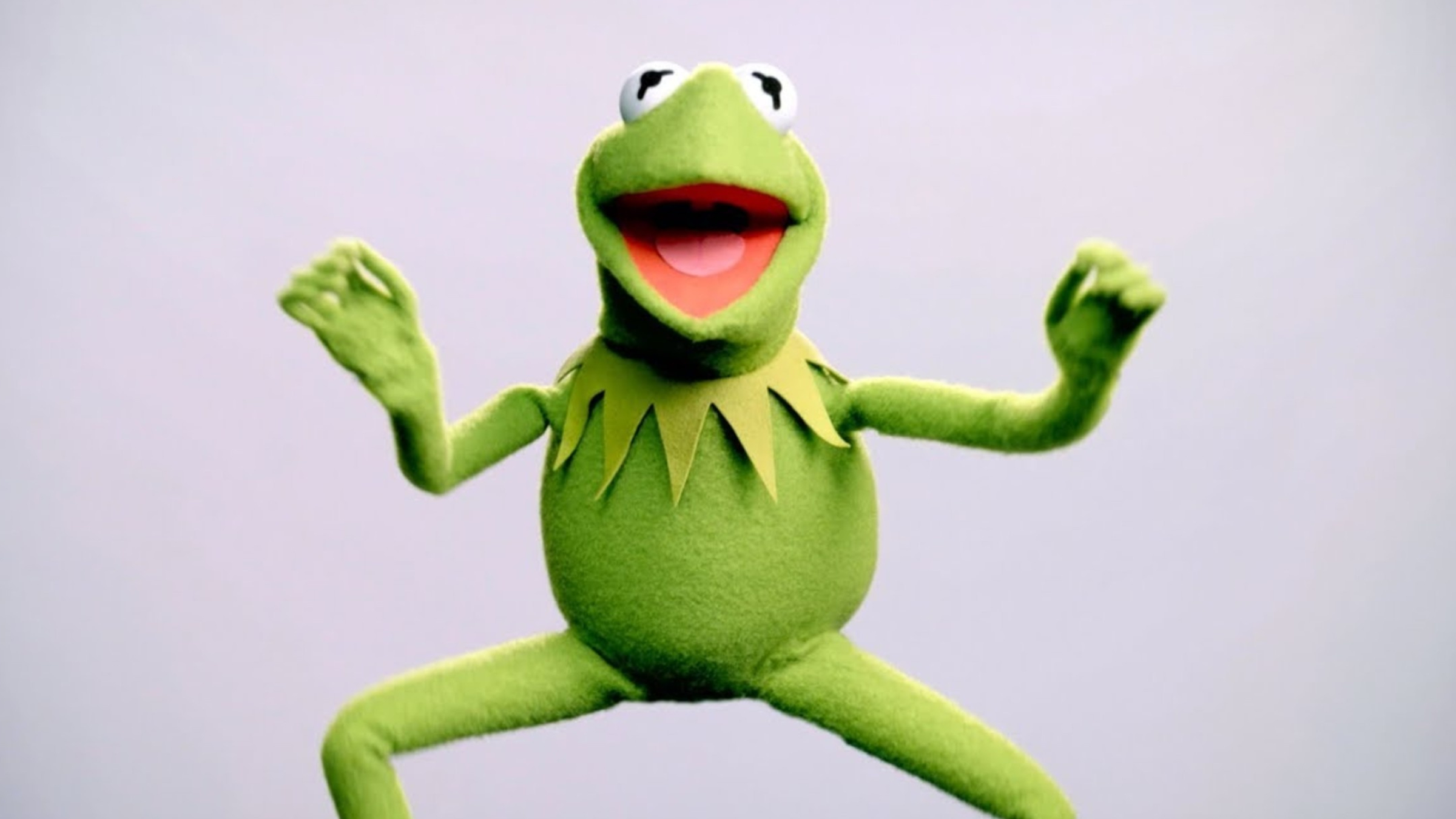 Kermit the Frog, Rainbow connection, Memes, Film Daily, 2400x1350 HD Desktop